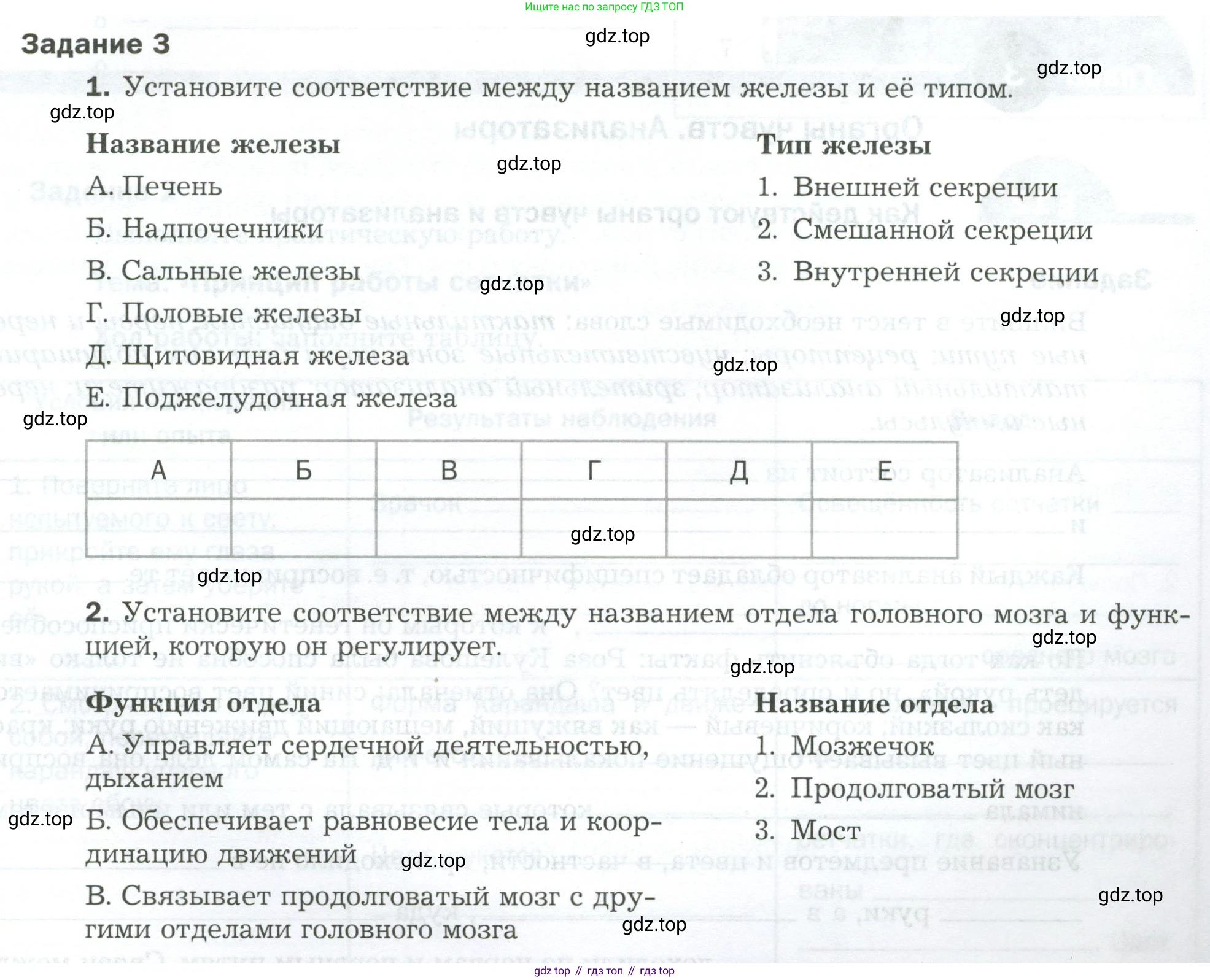 Биология, 9 класс рабочая тетрадь, авторы: Драгомилов Александр Григорьевич, Маш Реми Давидович, издательство Просвещение, Москва, 2021, красного цвета, Часть 1, страница 37, Условие