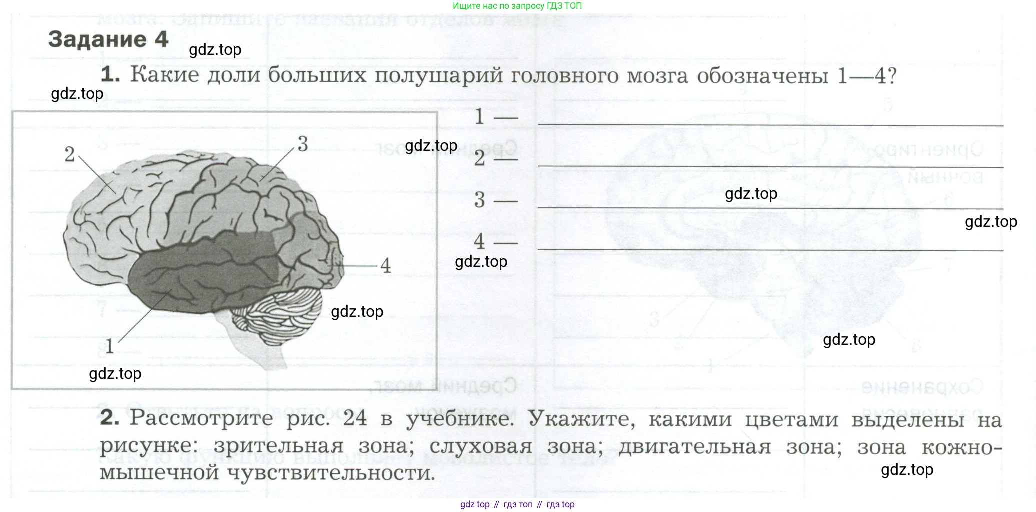 Биология, 9 класс рабочая тетрадь, авторы: Драгомилов Александр Григорьевич, Маш Реми Давидович, издательство Просвещение, Москва, 2021, красного цвета, Часть 1, страница 34, Условие