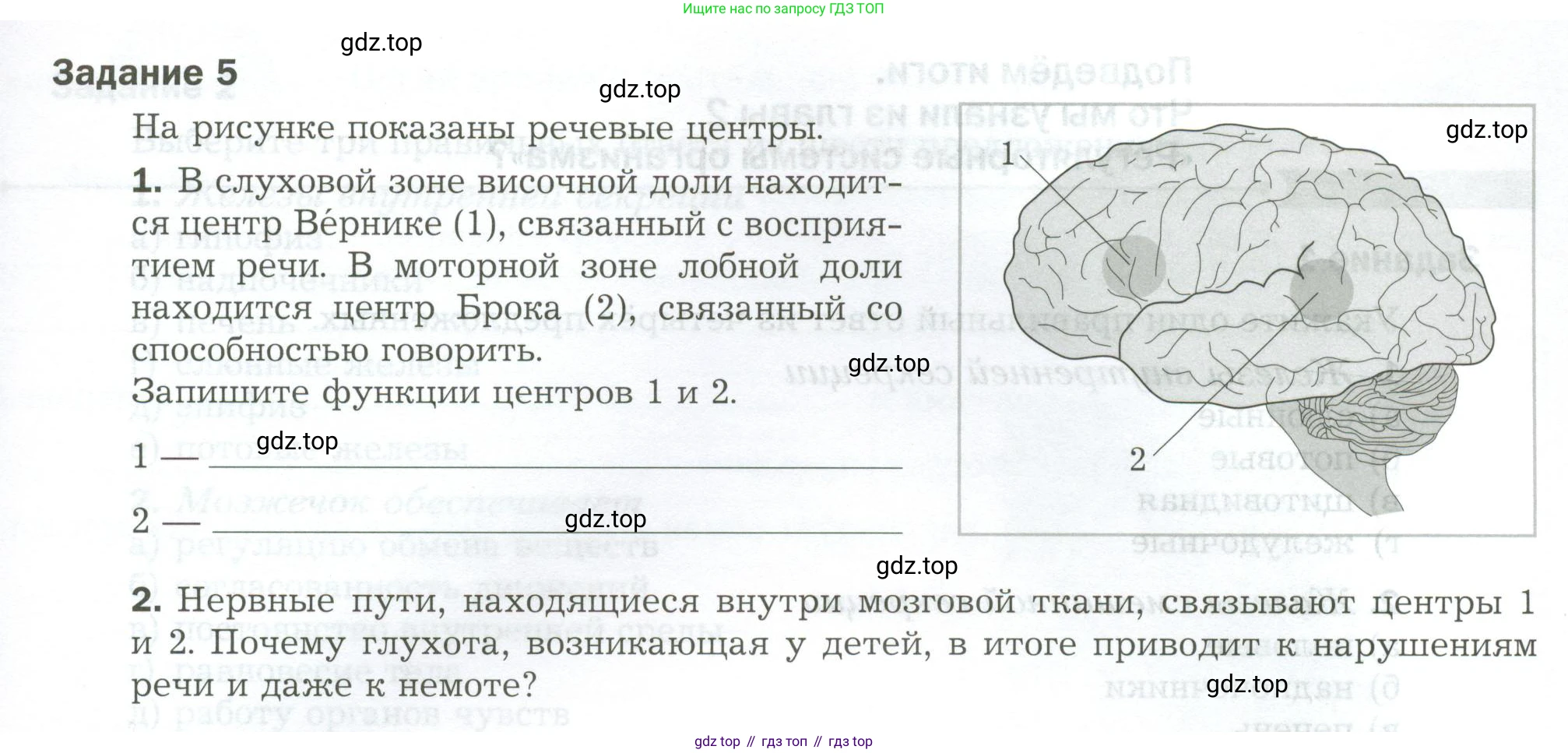 Биология, 9 класс рабочая тетрадь, авторы: Драгомилов Александр Григорьевич, Маш Реми Давидович, издательство Просвещение, Москва, 2021, красного цвета, Часть 1, страница 35, Условие