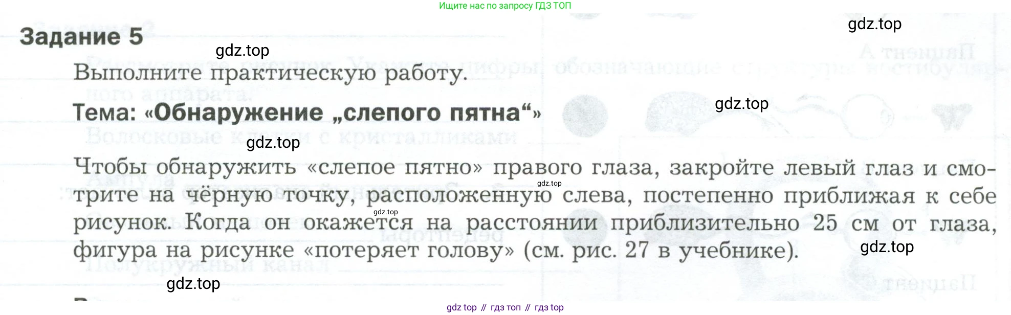Биология, 9 класс рабочая тетрадь, авторы: Драгомилов Александр Григорьевич, Маш Реми Давидович, издательство Просвещение, Москва, 2021, красного цвета, Часть 1, страница 41, Условие