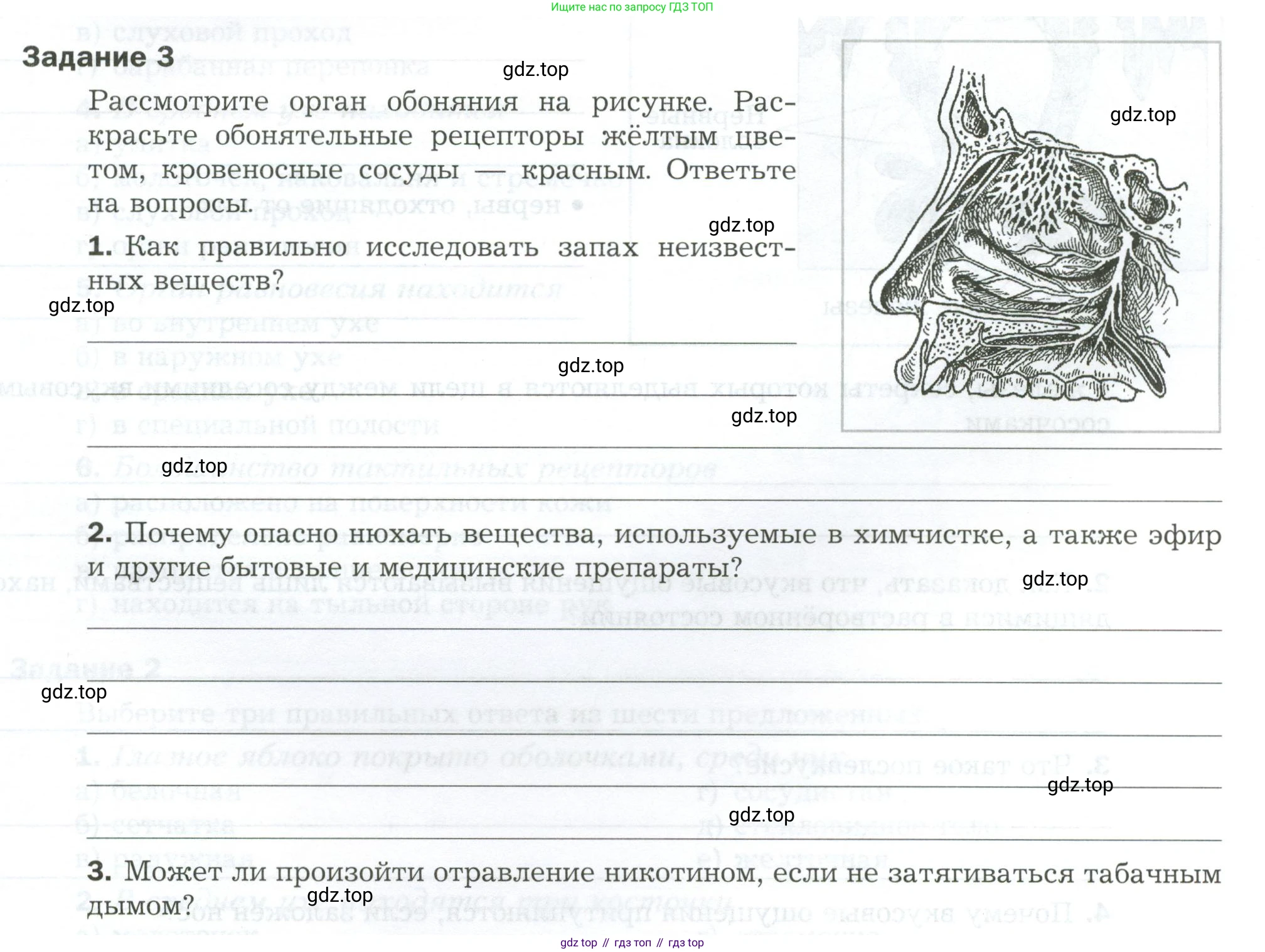 Биология, 9 класс рабочая тетрадь, авторы: Драгомилов Александр Григорьевич, Маш Реми Давидович, издательство Просвещение, Москва, 2021, красного цвета, Часть 1, страница 45, Условие
