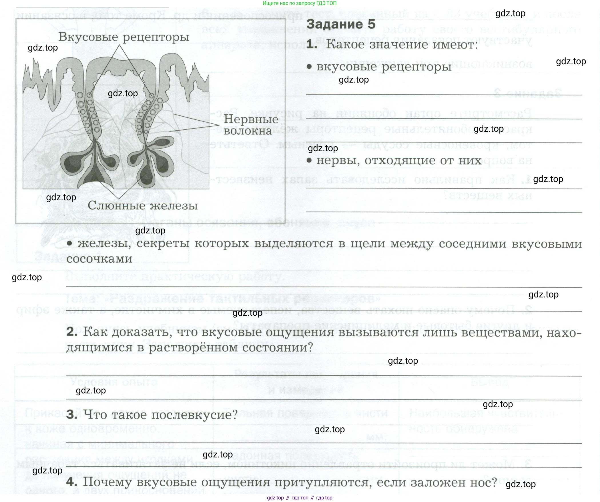 Биология, 9 класс рабочая тетрадь, авторы: Драгомилов Александр Григорьевич, Маш Реми Давидович, издательство Просвещение, Москва, 2021, красного цвета, Часть 1, страница 46, Условие