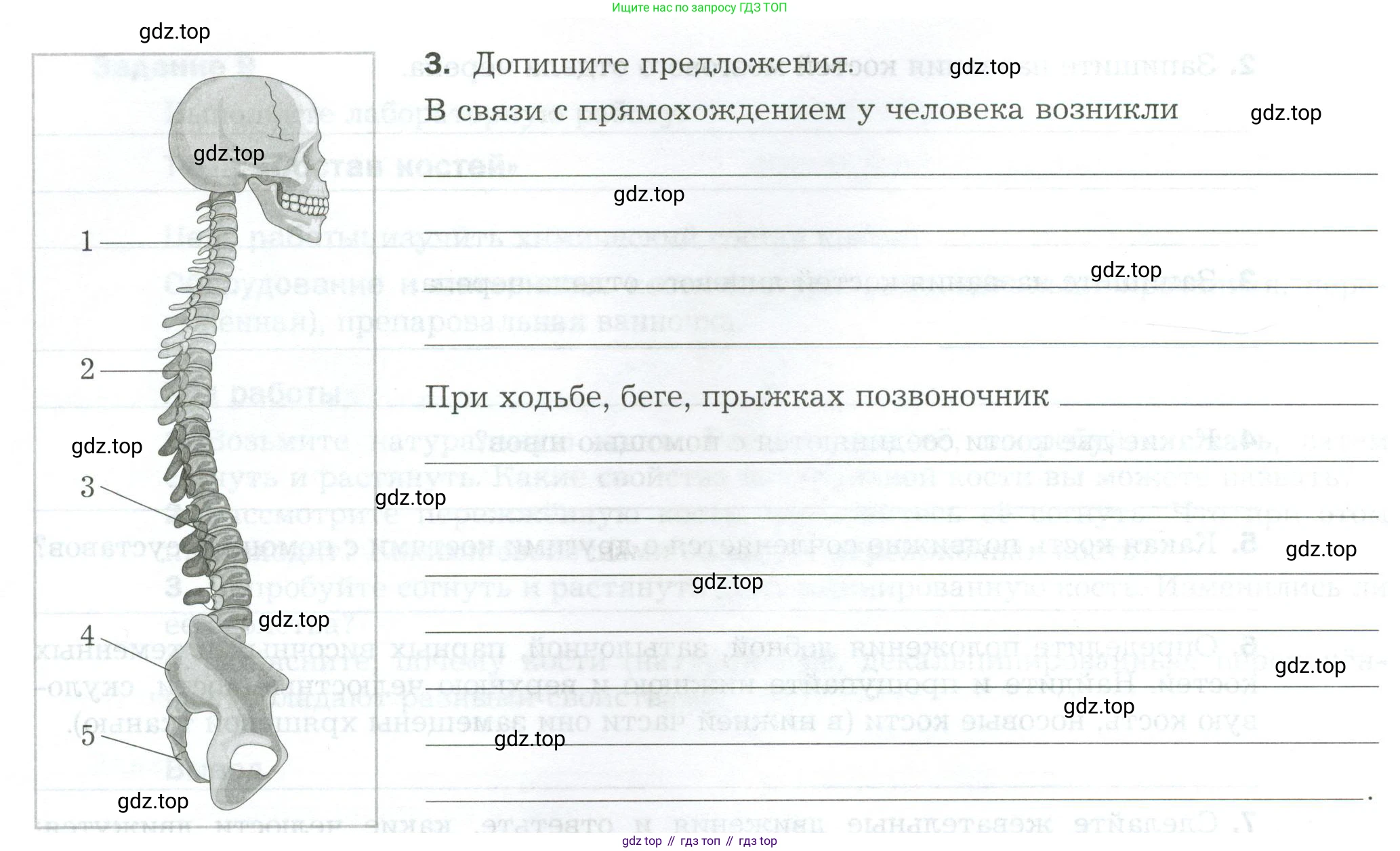 Биология, 9 класс рабочая тетрадь, авторы: Драгомилов Александр Григорьевич, Маш Реми Давидович, издательство Просвещение, Москва, 2021, красного цвета, Часть 1, страница 55, Условие (продолжение 2)