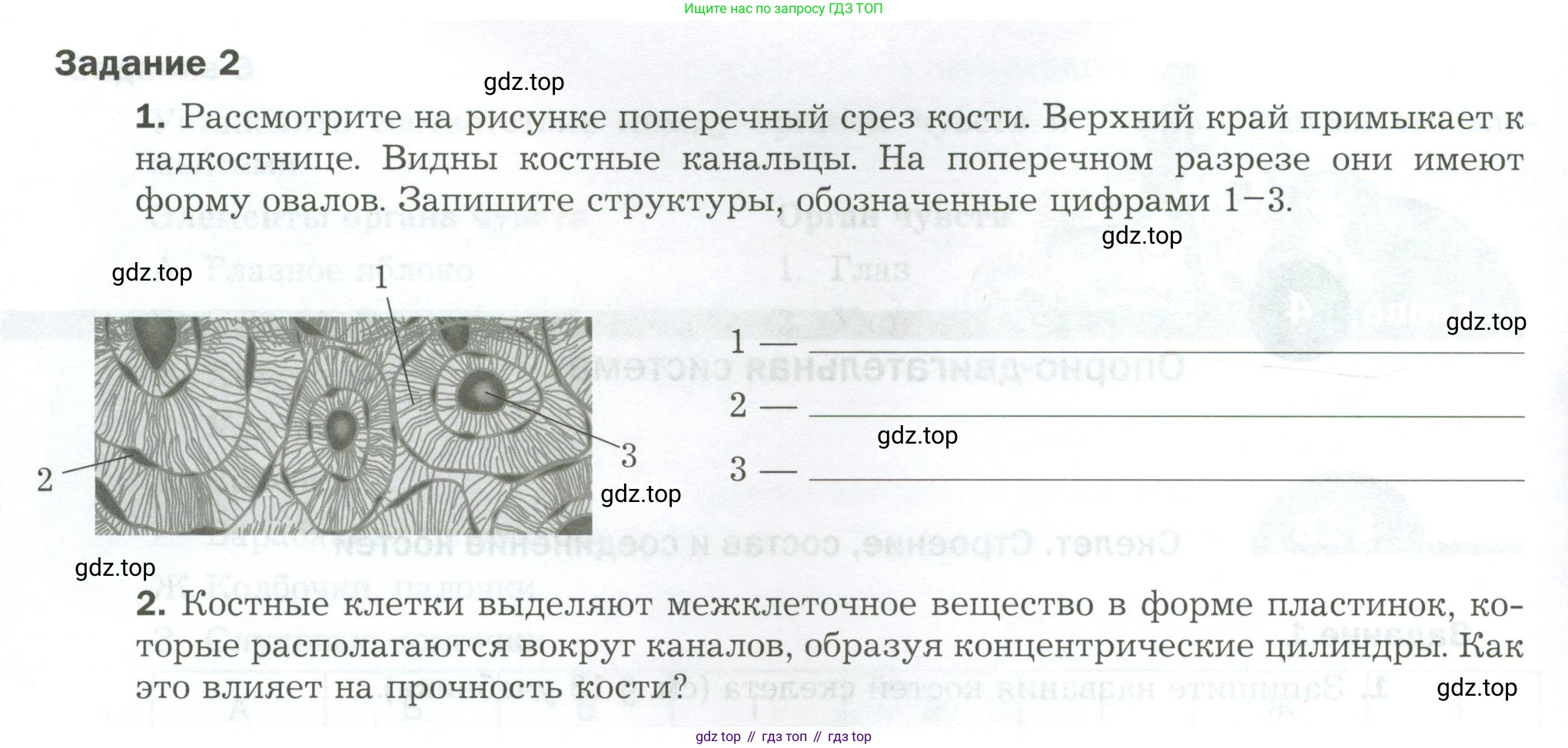 Биология, 9 класс рабочая тетрадь, авторы: Драгомилов Александр Григорьевич, Маш Реми Давидович, издательство Просвещение, Москва, 2021, красного цвета, Часть 1, страница 50, Условие