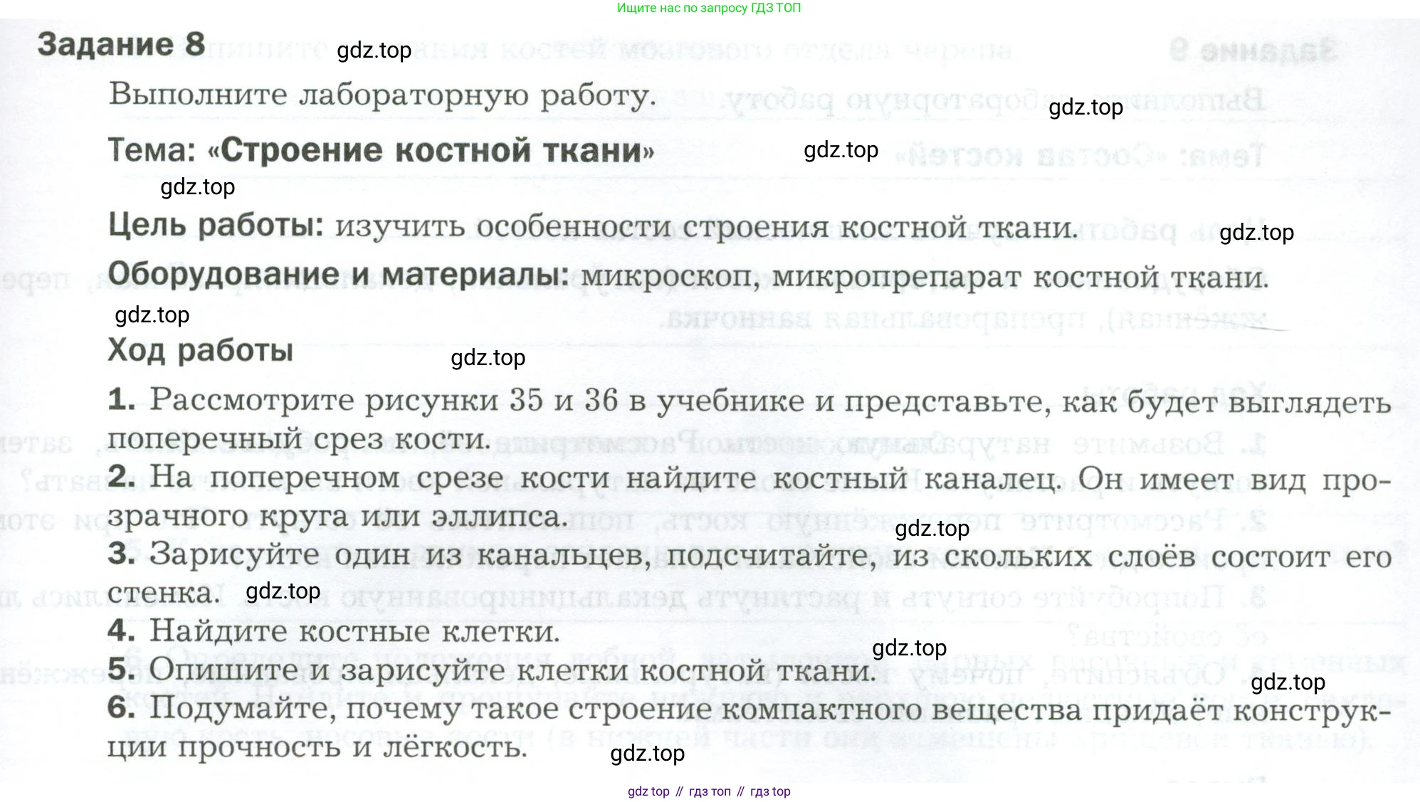 Биология, 9 класс рабочая тетрадь, авторы: Драгомилов Александр Григорьевич, Маш Реми Давидович, издательство Просвещение, Москва, 2021, красного цвета, Часть 1, страница 53, Условие