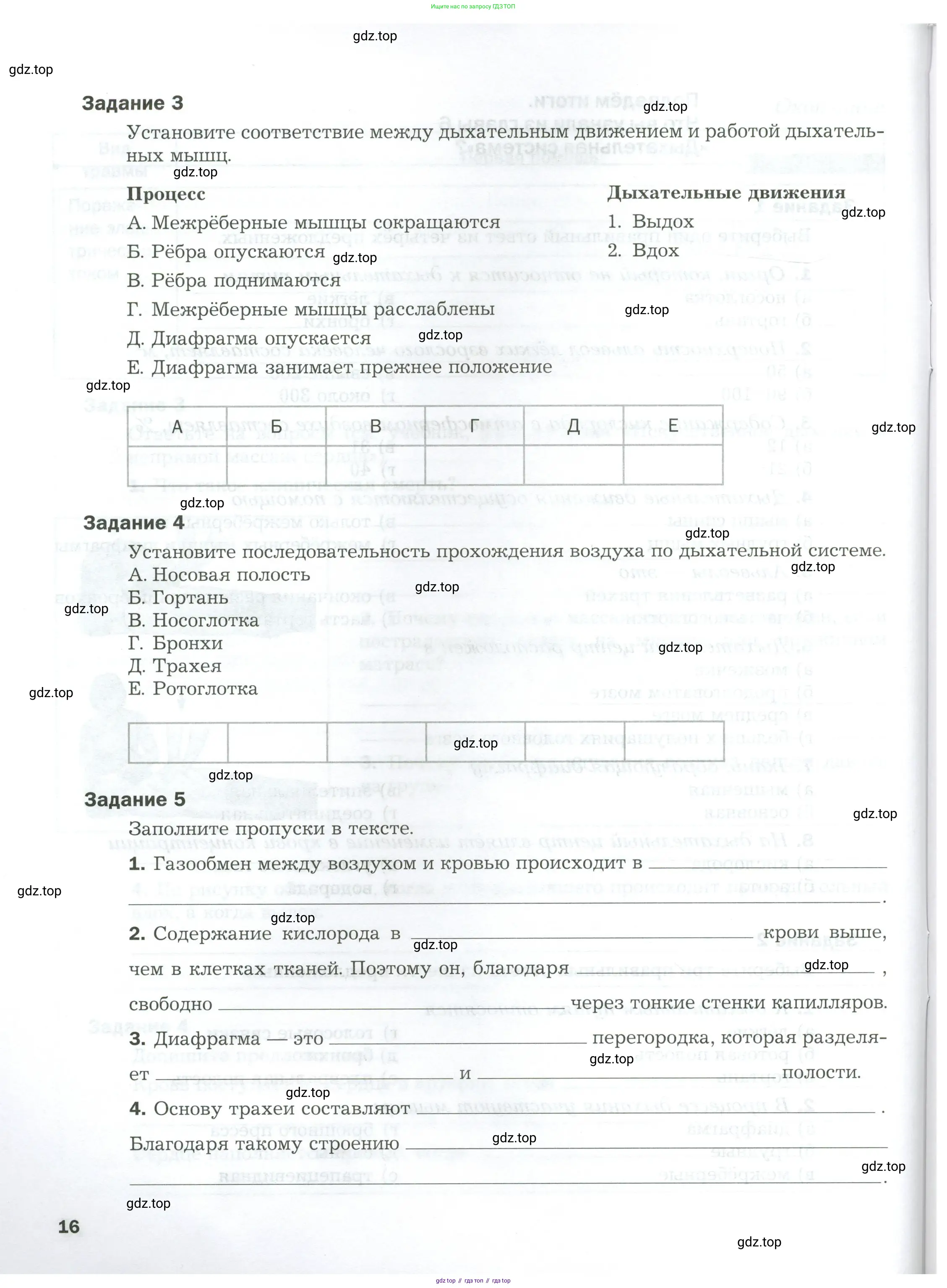 Биология, 9 класс рабочая тетрадь, авторы: Драгомилов Александр Григорьевич, Маш Реми Давидович, издательство Просвещение, Москва, 2021, красного цвета, Часть 1, страница 16