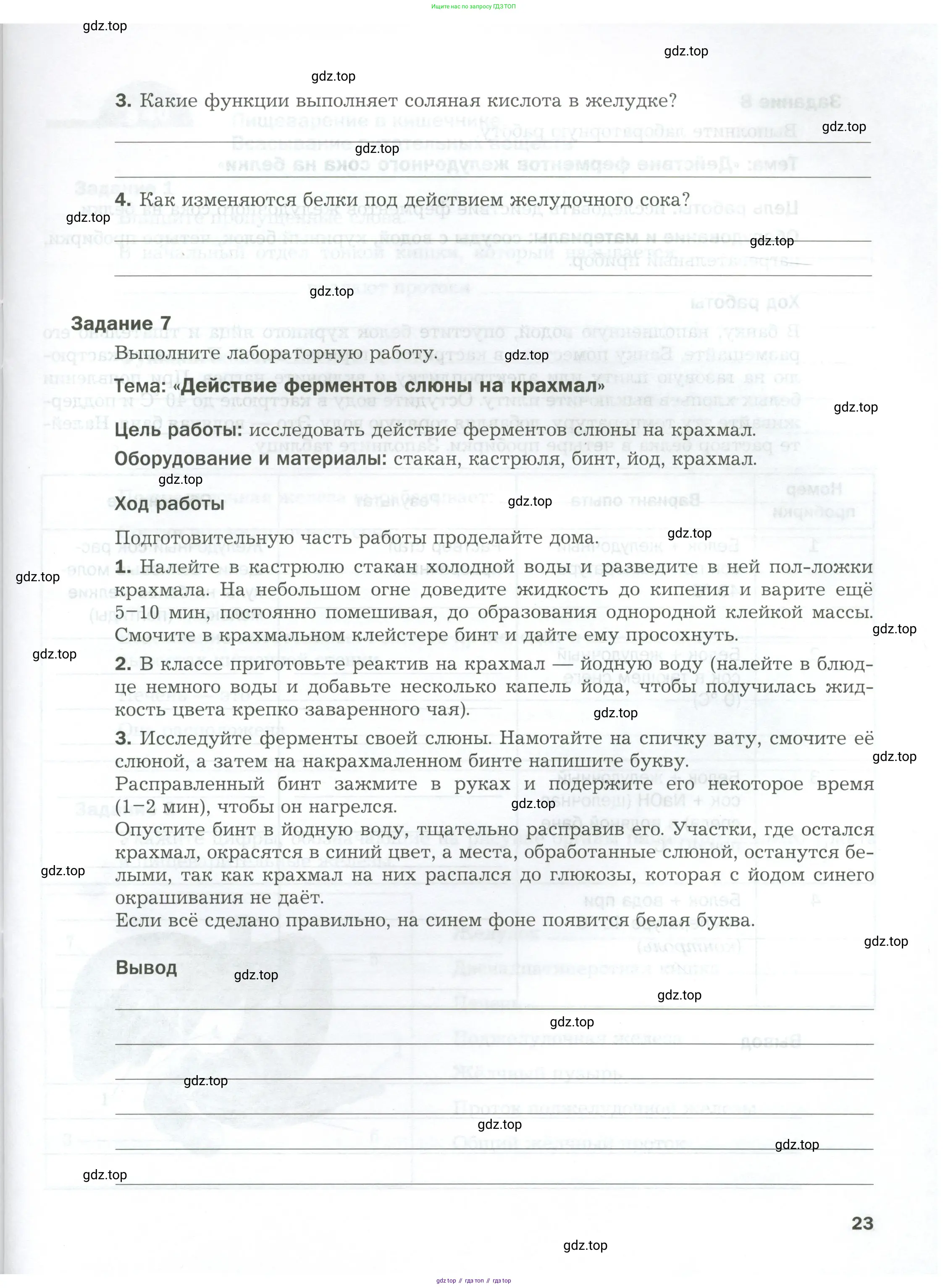 Биология, 9 класс рабочая тетрадь, авторы: Драгомилов Александр Григорьевич, Маш Реми Давидович, издательство Просвещение, Москва, 2021, красного цвета, Часть 1, страница 23