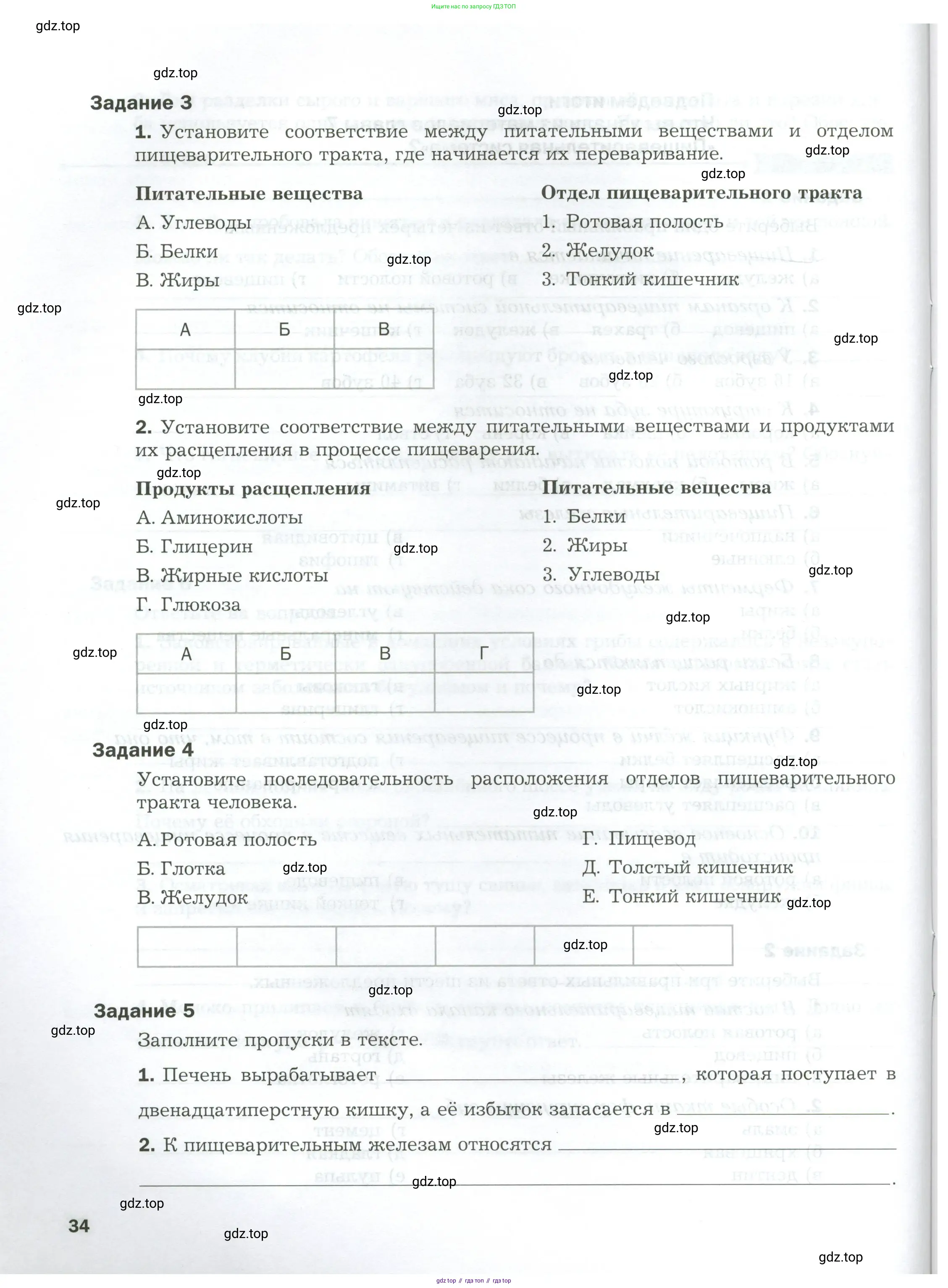 Биология, 9 класс рабочая тетрадь, авторы: Драгомилов Александр Григорьевич, Маш Реми Давидович, издательство Просвещение, Москва, 2021, красного цвета, Часть 1, страница 34