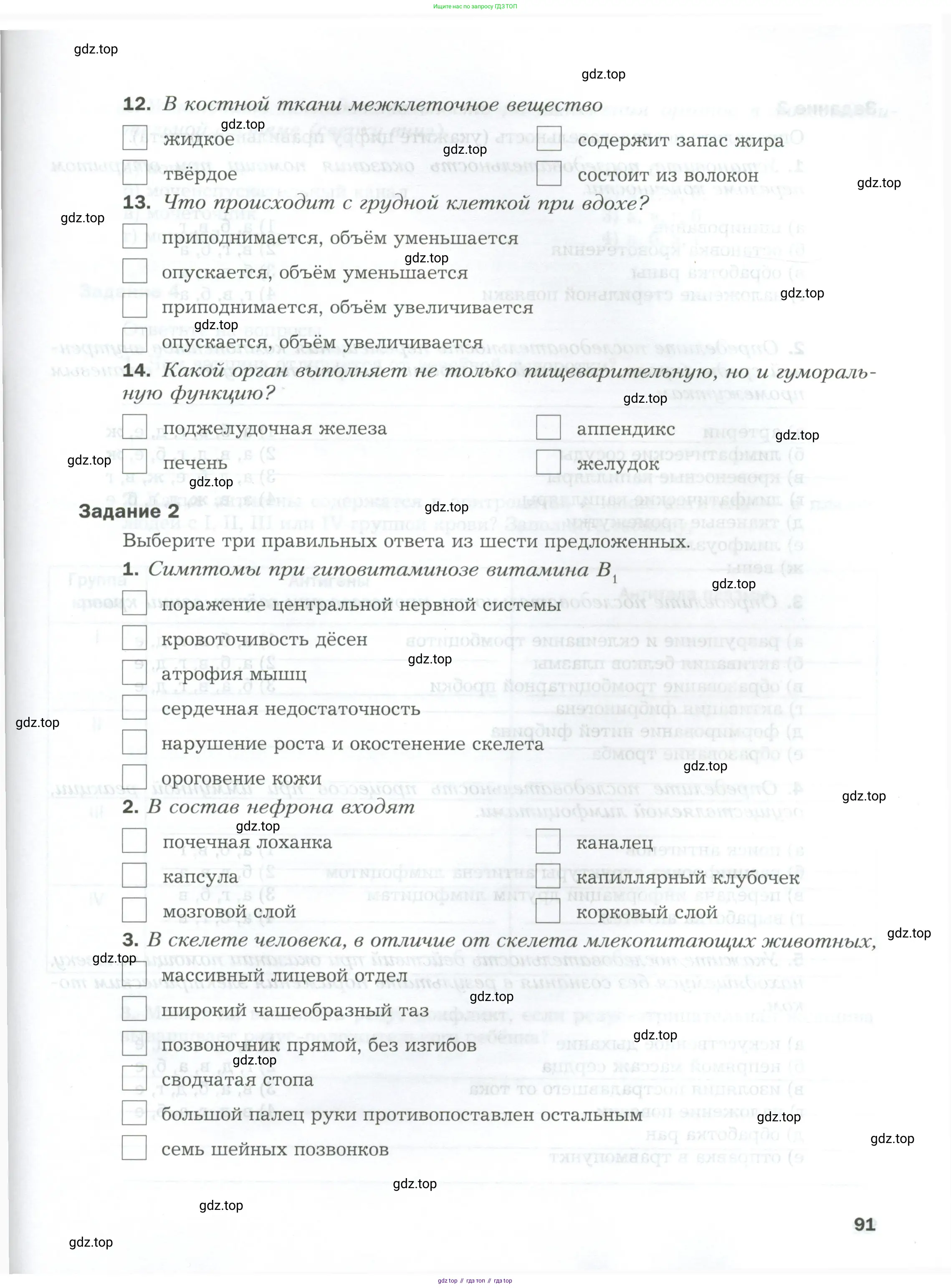 Биология, 9 класс рабочая тетрадь, авторы: Драгомилов Александр Григорьевич, Маш Реми Давидович, издательство Просвещение, Москва, 2021, красного цвета, Часть 1, страница 91