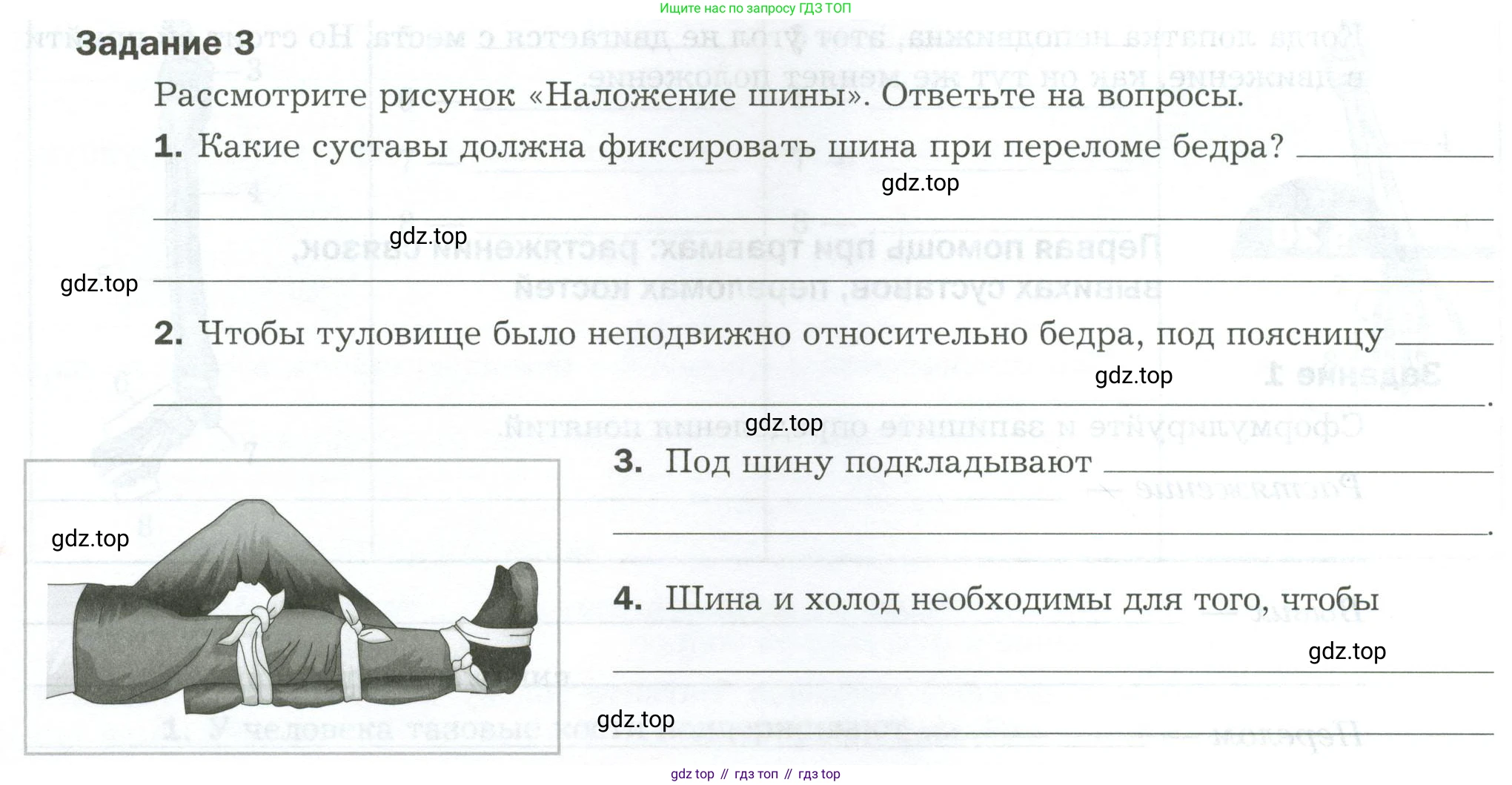 Биология, 9 класс рабочая тетрадь, авторы: Драгомилов Александр Григорьевич, Маш Реми Давидович, издательство Просвещение, Москва, 2021, красного цвета, Часть 1, страница 60, Условие