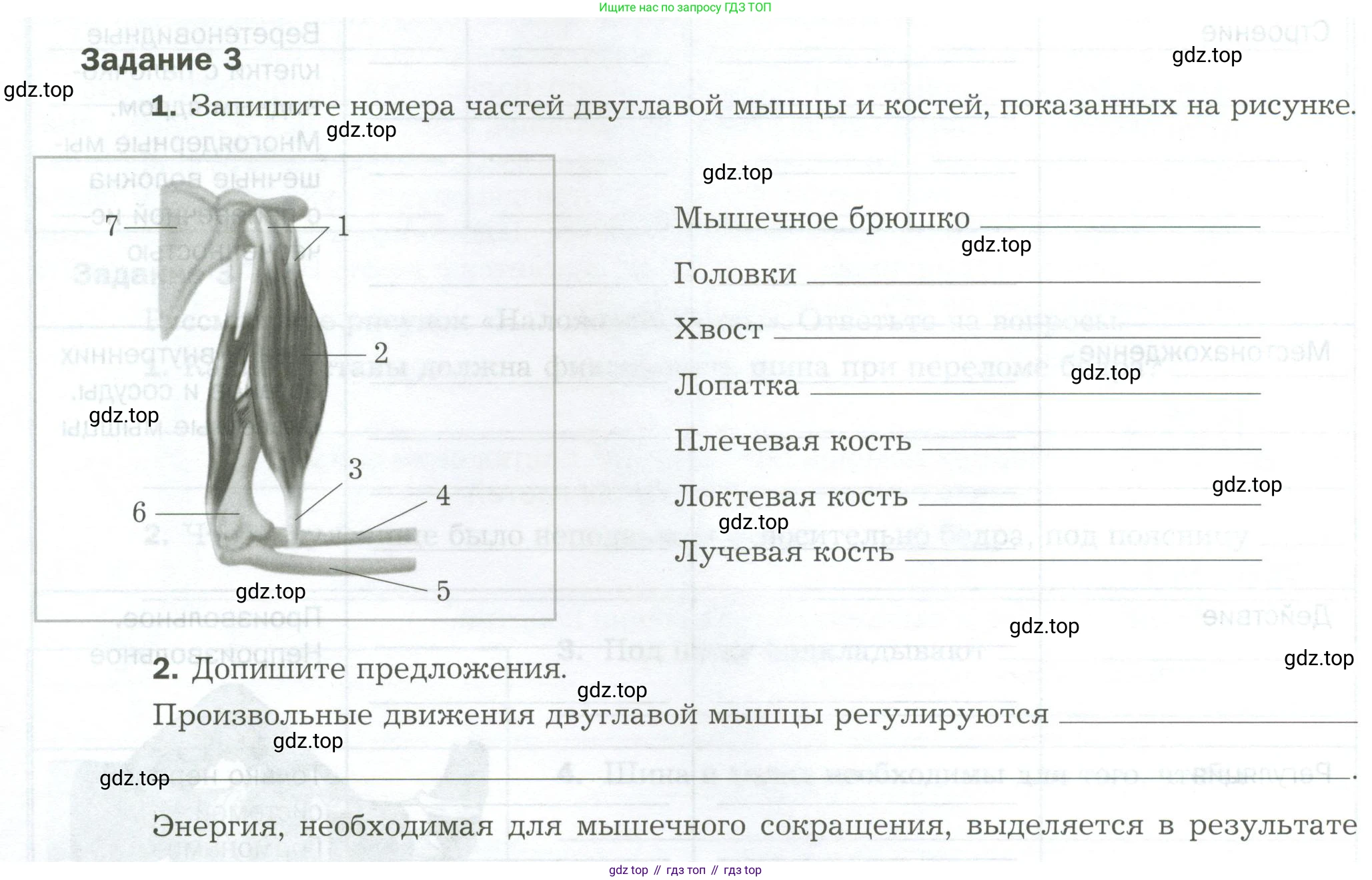 Биология, 9 класс рабочая тетрадь, авторы: Драгомилов Александр Григорьевич, Маш Реми Давидович, издательство Просвещение, Москва, 2021, красного цвета, Часть 1, страница 62, Условие