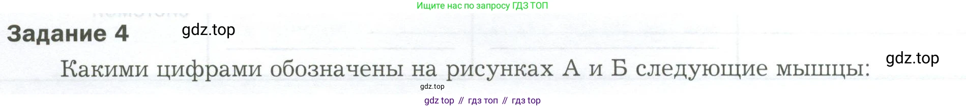 Биология, 9 класс рабочая тетрадь, авторы: Драгомилов Александр Григорьевич, Маш Реми Давидович, издательство Просвещение, Москва, 2021, красного цвета, Часть 1, страница 62, Условие