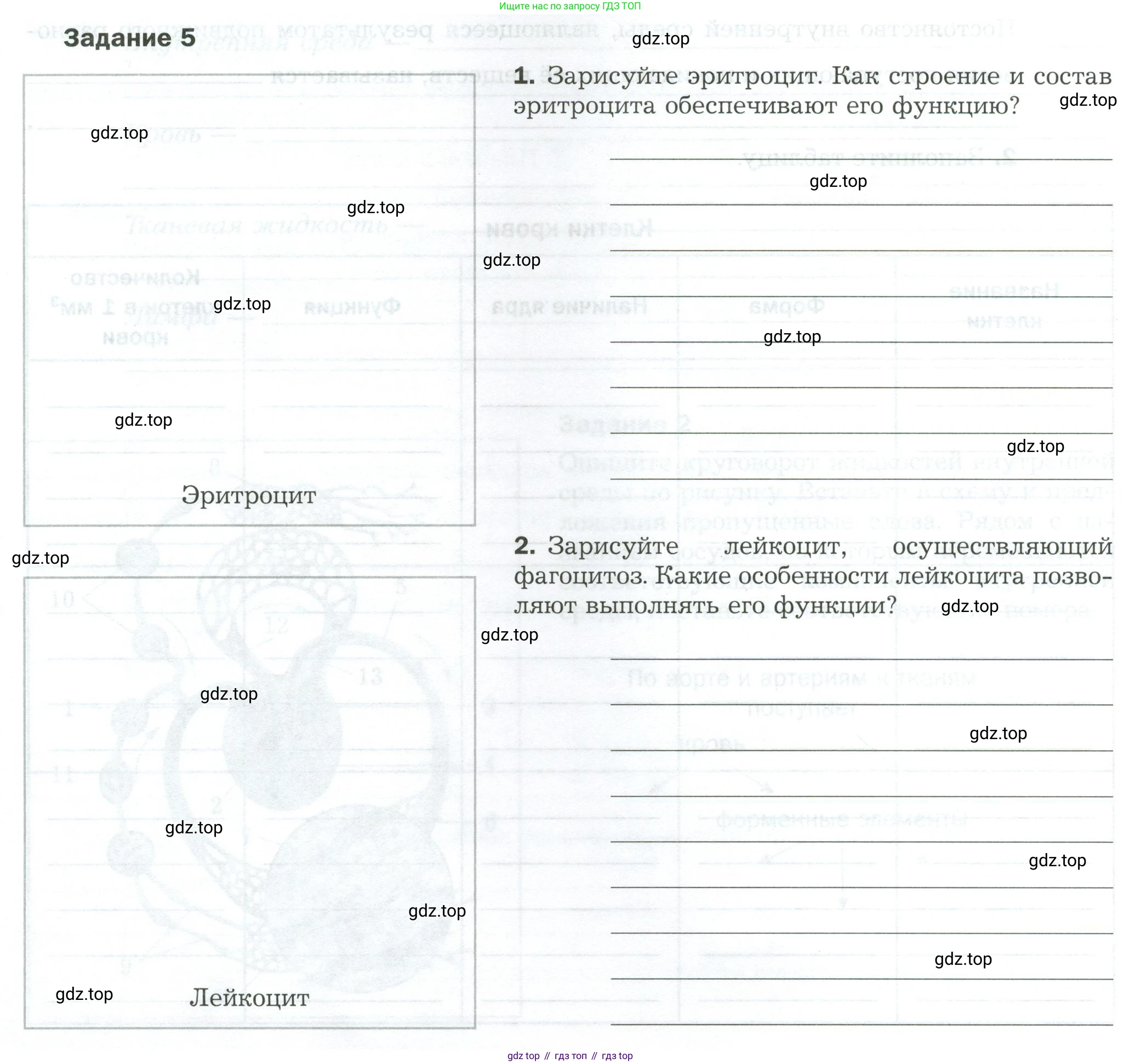 Биология, 9 класс рабочая тетрадь, авторы: Драгомилов Александр Григорьевич, Маш Реми Давидович, издательство Просвещение, Москва, 2021, красного цвета, Часть 1, страница 76, Условие