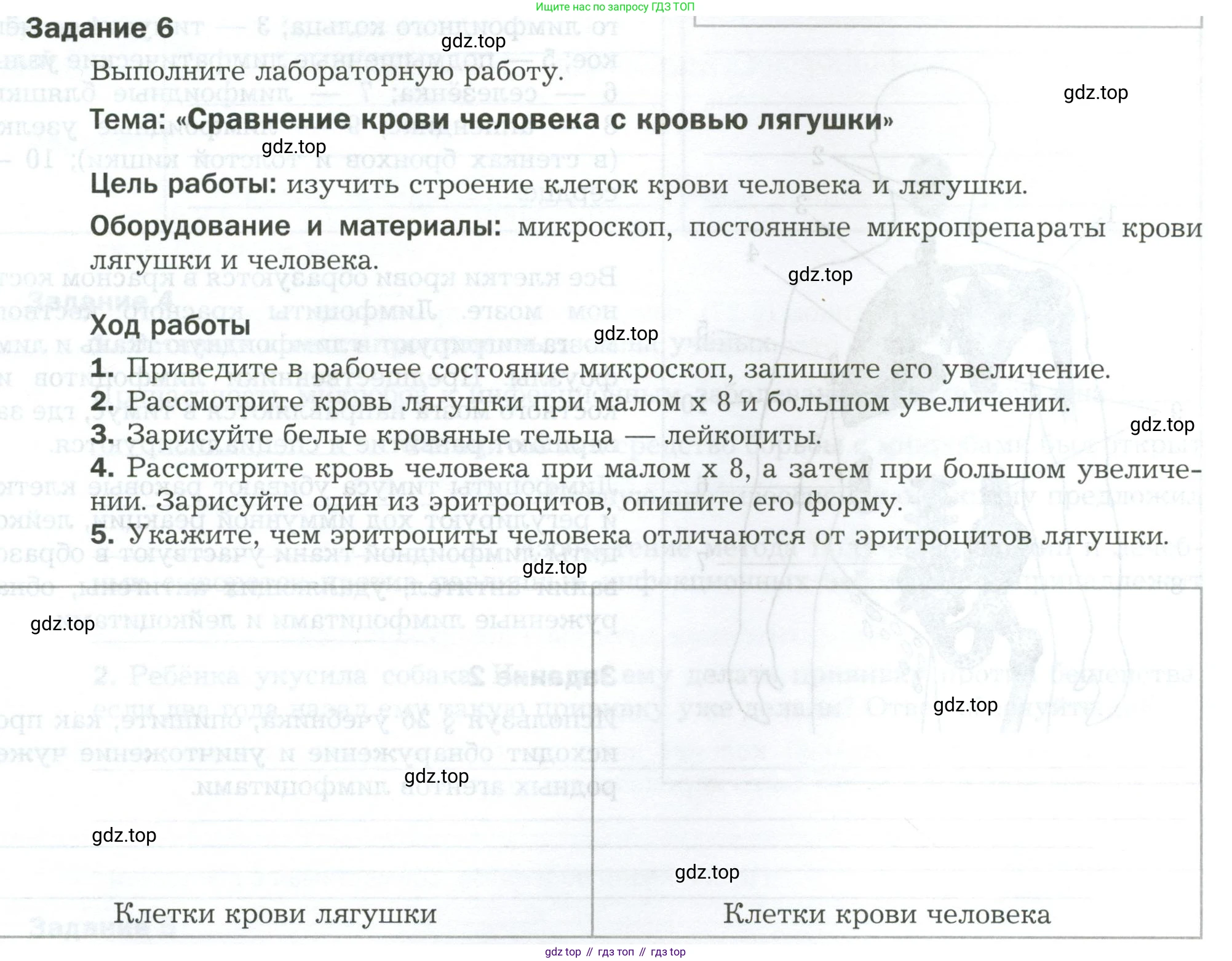 Биология, 9 класс рабочая тетрадь, авторы: Драгомилов Александр Григорьевич, Маш Реми Давидович, издательство Просвещение, Москва, 2021, красного цвета, Часть 1, страница 77, Условие