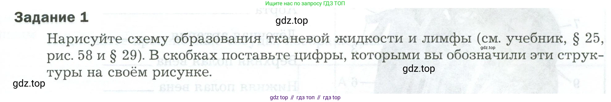 Биология, 9 класс рабочая тетрадь, авторы: Драгомилов Александр Григорьевич, Маш Реми Давидович, издательство Просвещение, Москва, 2021, красного цвета, Часть 1, страница 81, Условие