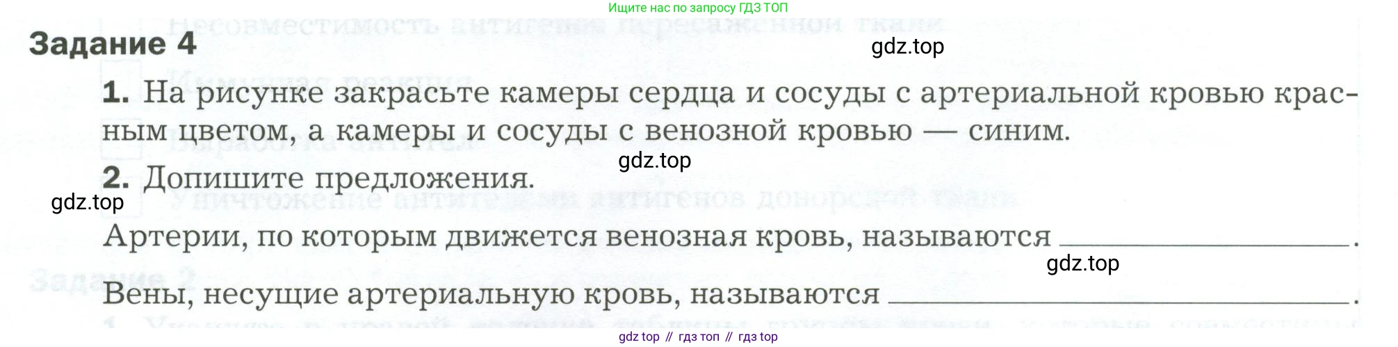 Биология, 9 класс рабочая тетрадь, авторы: Драгомилов Александр Григорьевич, Маш Реми Давидович, издательство Просвещение, Москва, 2021, красного цвета, Часть 1, страница 82, Условие