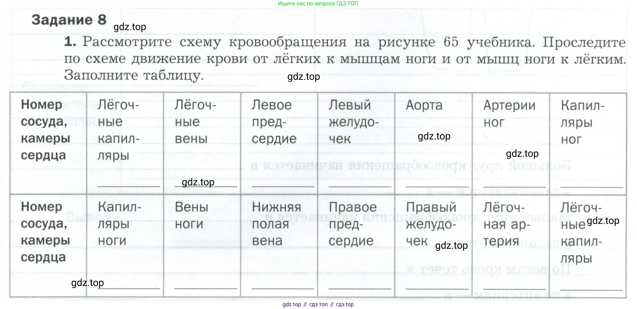 Биология, 9 класс рабочая тетрадь, авторы: Драгомилов Александр Григорьевич, Маш Реми Давидович, издательство Просвещение, Москва, 2021, красного цвета, Часть 1, страница 83, Условие