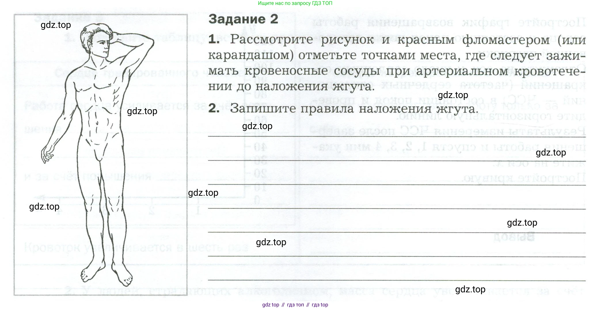 Биология, 9 класс рабочая тетрадь, авторы: Драгомилов Александр Григорьевич, Маш Реми Давидович, издательство Просвещение, Москва, 2021, красного цвета, Часть 1, страница 92, Условие