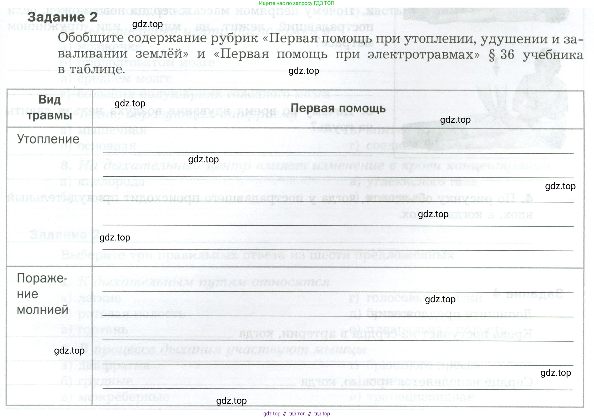 Биология, 9 класс рабочая тетрадь, авторы: Драгомилов Александр Григорьевич, Маш Реми Давидович, издательство Просвещение, Москва, 2021, красного цвета, Часть 2, страница 13, Условие