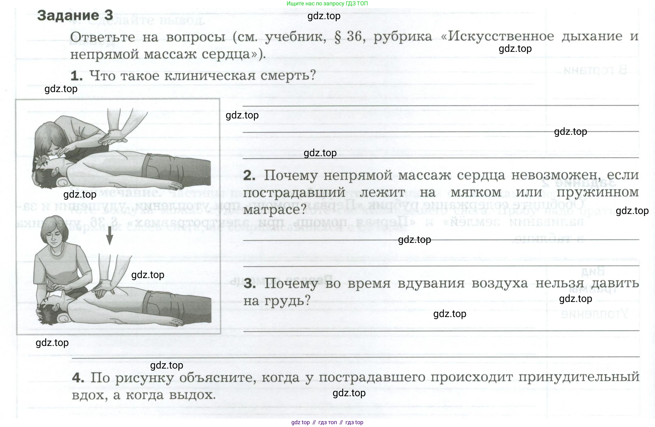 Биология, 9 класс рабочая тетрадь, авторы: Драгомилов Александр Григорьевич, Маш Реми Давидович, издательство Просвещение, Москва, 2021, красного цвета, Часть 2, страница 14, Условие