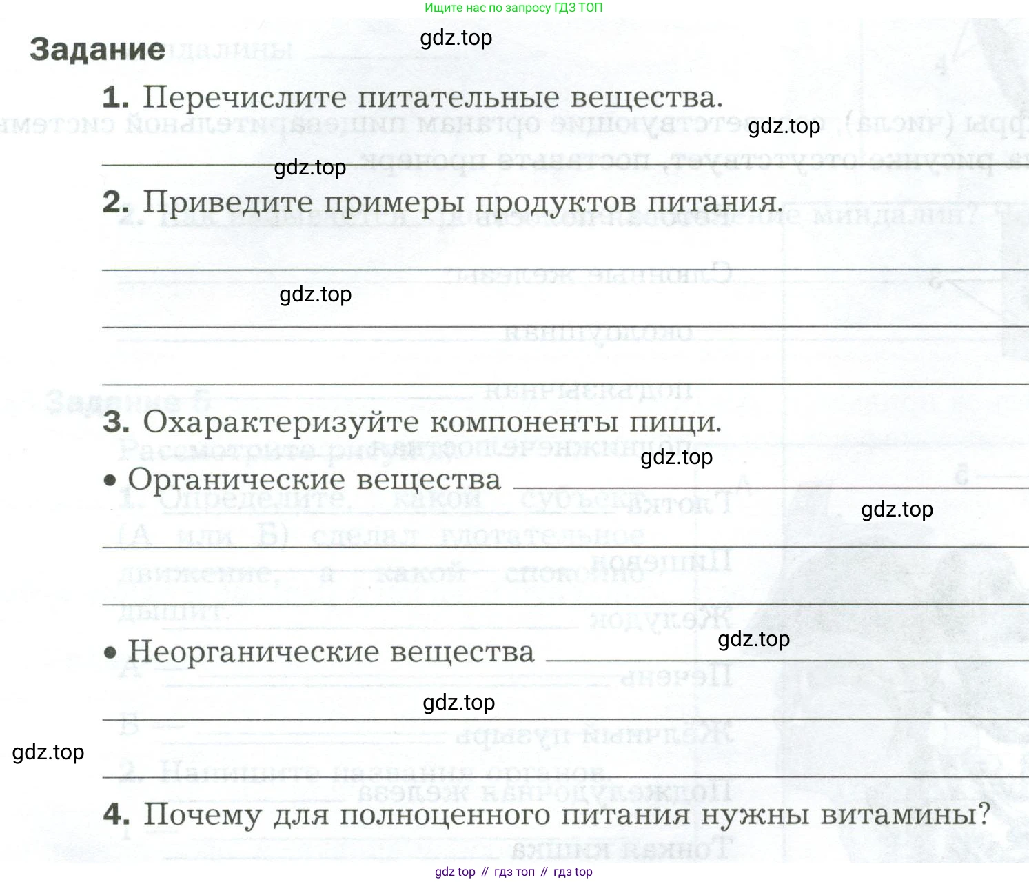 Биология, 9 класс рабочая тетрадь, авторы: Драгомилов Александр Григорьевич, Маш Реми Давидович, издательство Просвещение, Москва, 2021, красного цвета, Часть 2, страница 17, Условие