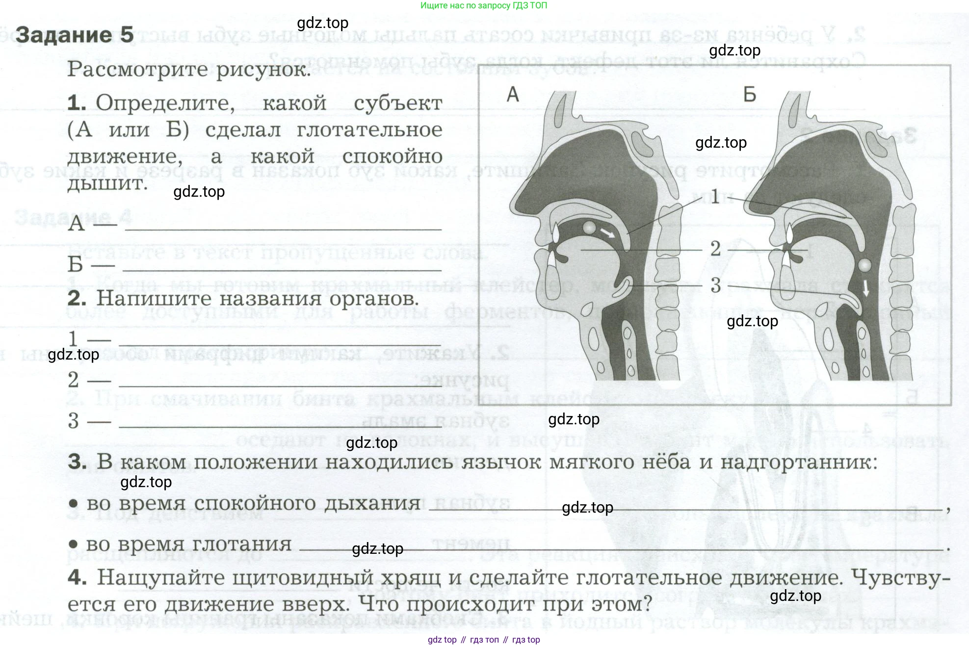 Биология, 9 класс рабочая тетрадь, авторы: Драгомилов Александр Григорьевич, Маш Реми Давидович, издательство Просвещение, Москва, 2021, красного цвета, Часть 2, страница 19, Условие
