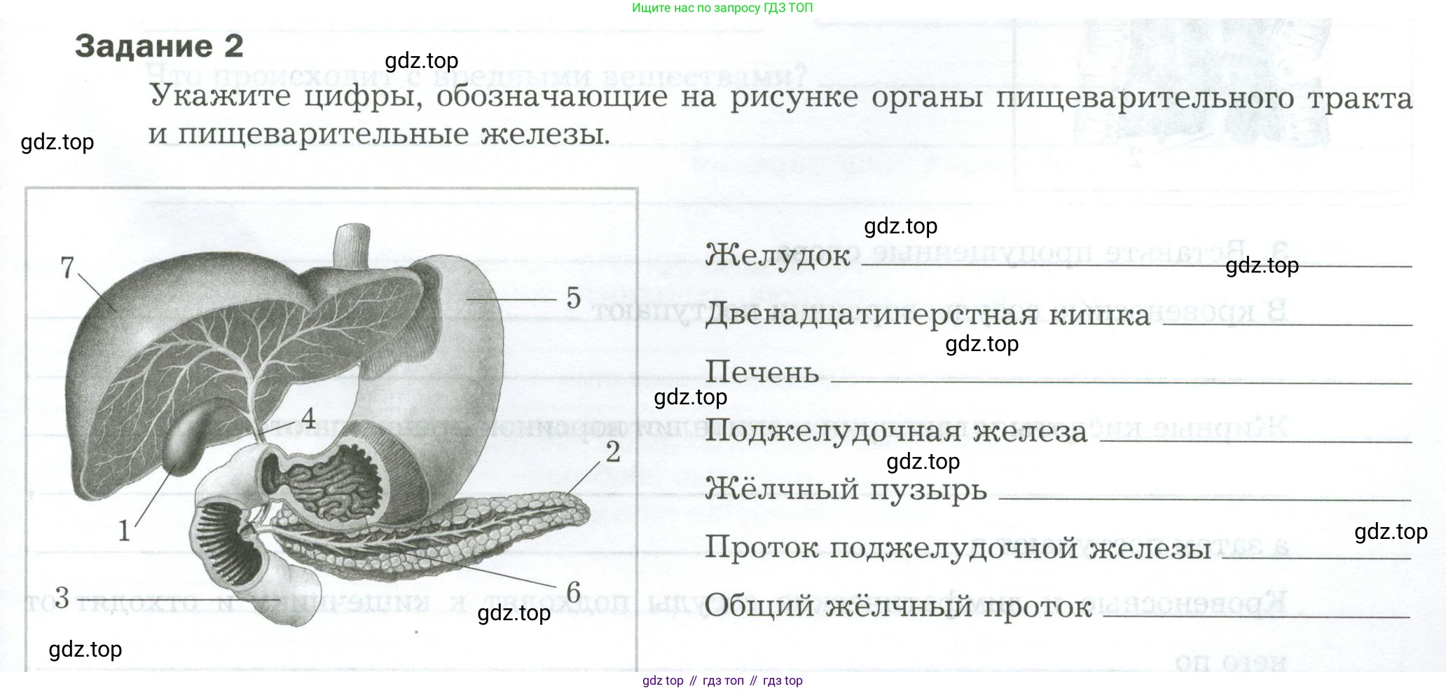 Биология, 9 класс рабочая тетрадь, авторы: Драгомилов Александр Григорьевич, Маш Реми Давидович, издательство Просвещение, Москва, 2021, красного цвета, Часть 2, страница 25, Условие