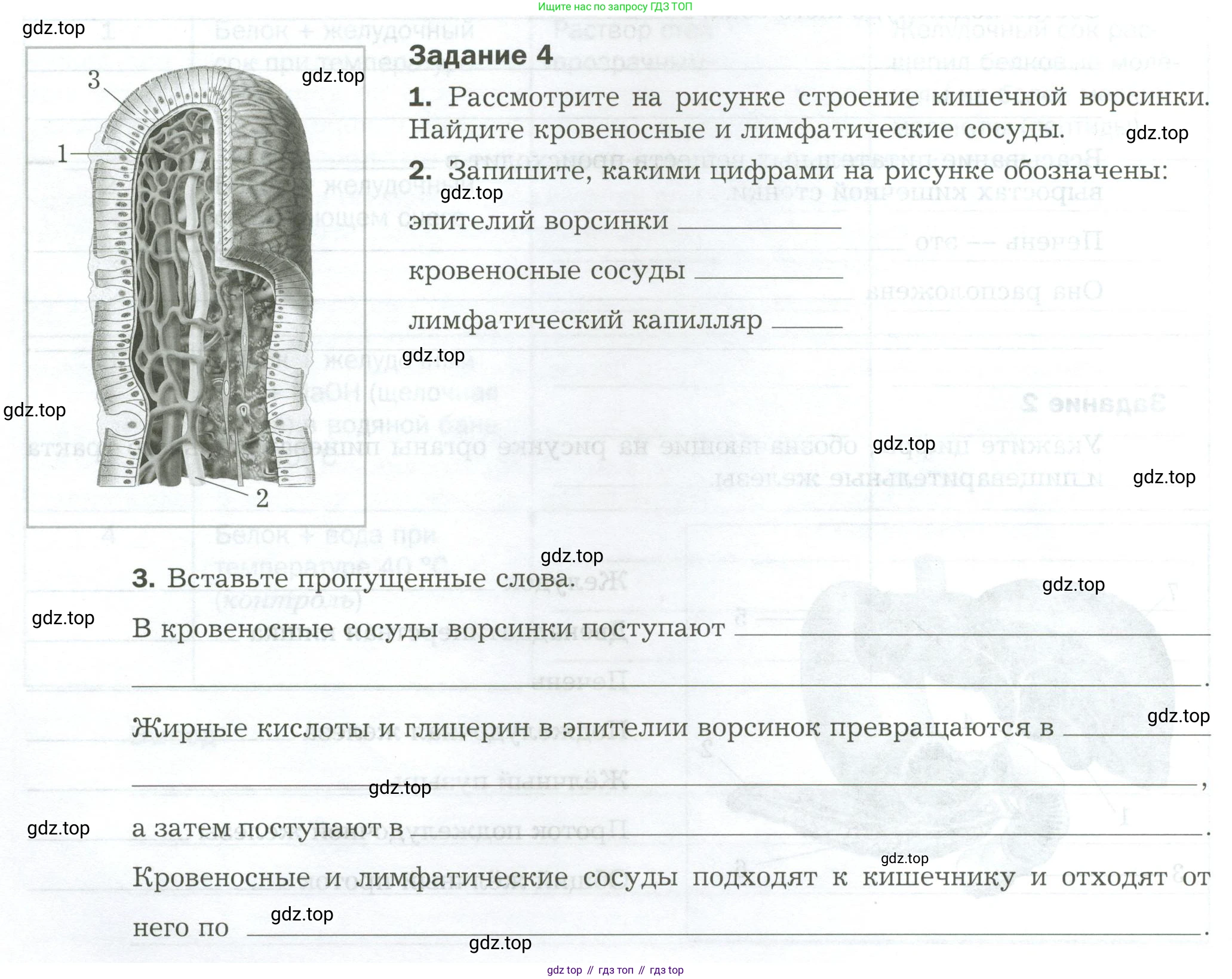 Биология, 9 класс рабочая тетрадь, авторы: Драгомилов Александр Григорьевич, Маш Реми Давидович, издательство Просвещение, Москва, 2021, красного цвета, Часть 2, страница 26, Условие
