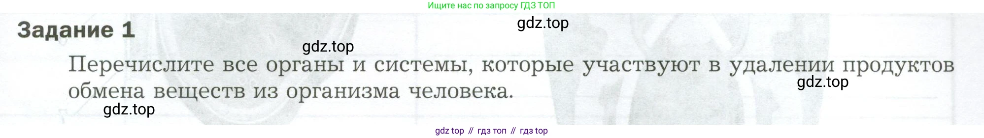 Биология, 9 класс рабочая тетрадь, авторы: Драгомилов Александр Григорьевич, Маш Реми Давидович, издательство Просвещение, Москва, 2021, красного цвета, Часть 2, страница 43, Условие