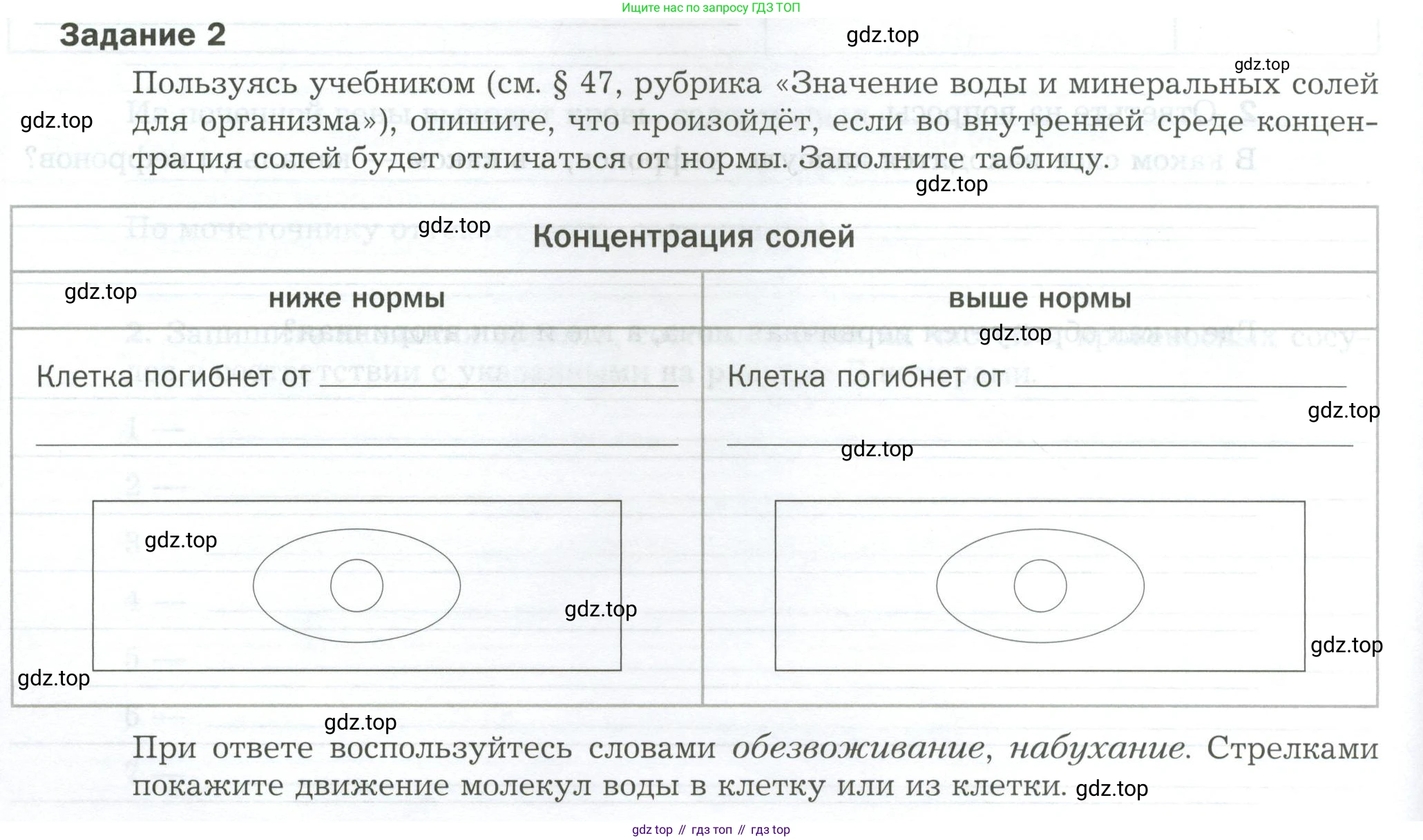 Биология, 9 класс рабочая тетрадь, авторы: Драгомилов Александр Григорьевич, Маш Реми Давидович, издательство Просвещение, Москва, 2021, красного цвета, Часть 2, страница 46, Условие