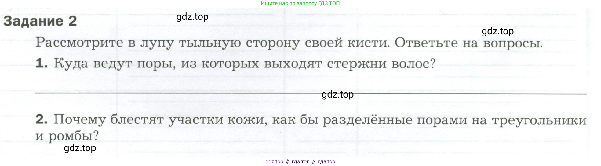 Биология, 9 класс рабочая тетрадь, авторы: Драгомилов Александр Григорьевич, Маш Реми Давидович, издательство Просвещение, Москва, 2021, красного цвета, Часть 2, страница 47, Условие