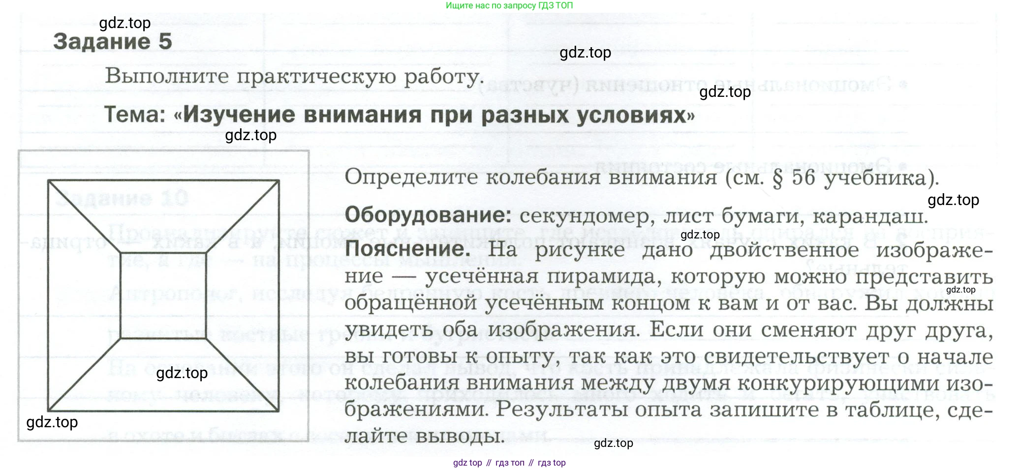 Биология, 9 класс рабочая тетрадь, авторы: Драгомилов Александр Григорьевич, Маш Реми Давидович, издательство Просвещение, Москва, 2021, красного цвета, Часть 2, страница 68, Условие
