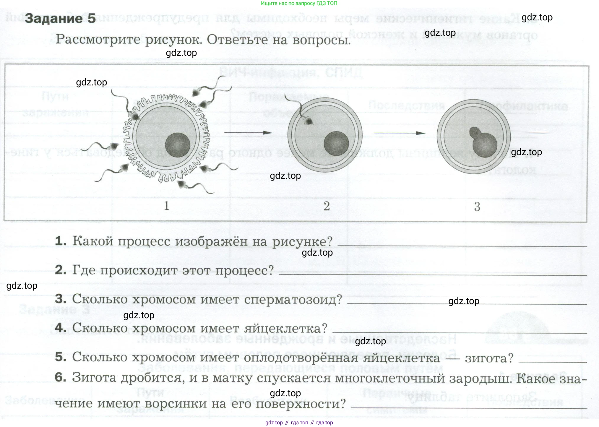Биология, 9 класс рабочая тетрадь, авторы: Драгомилов Александр Григорьевич, Маш Реми Давидович, издательство Просвещение, Москва, 2021, красного цвета, Часть 2, страница 73, Условие