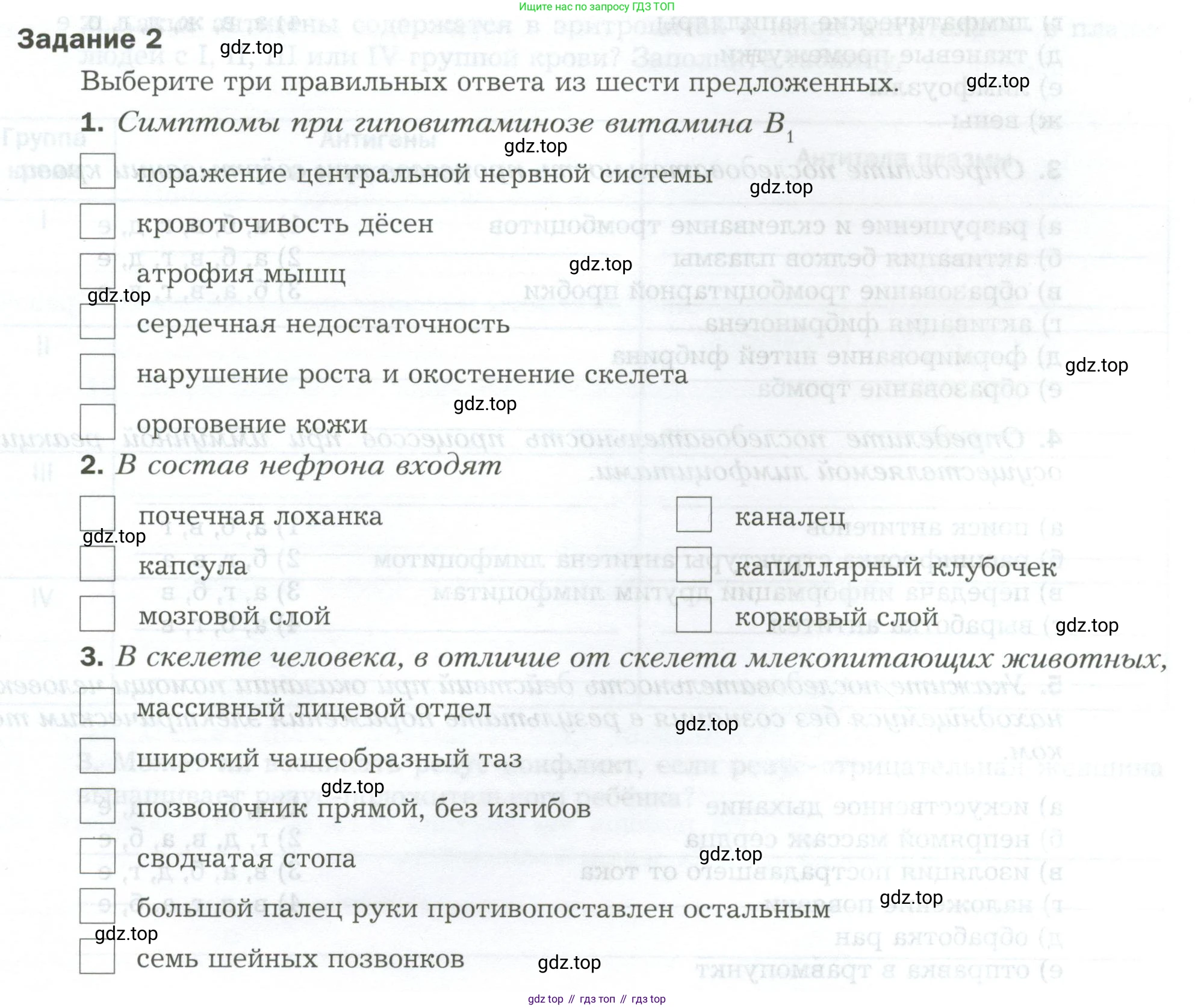 Биология, 9 класс рабочая тетрадь, авторы: Драгомилов Александр Григорьевич, Маш Реми Давидович, издательство Просвещение, Москва, 2021, красного цвета, Часть 2, страница 91, Условие