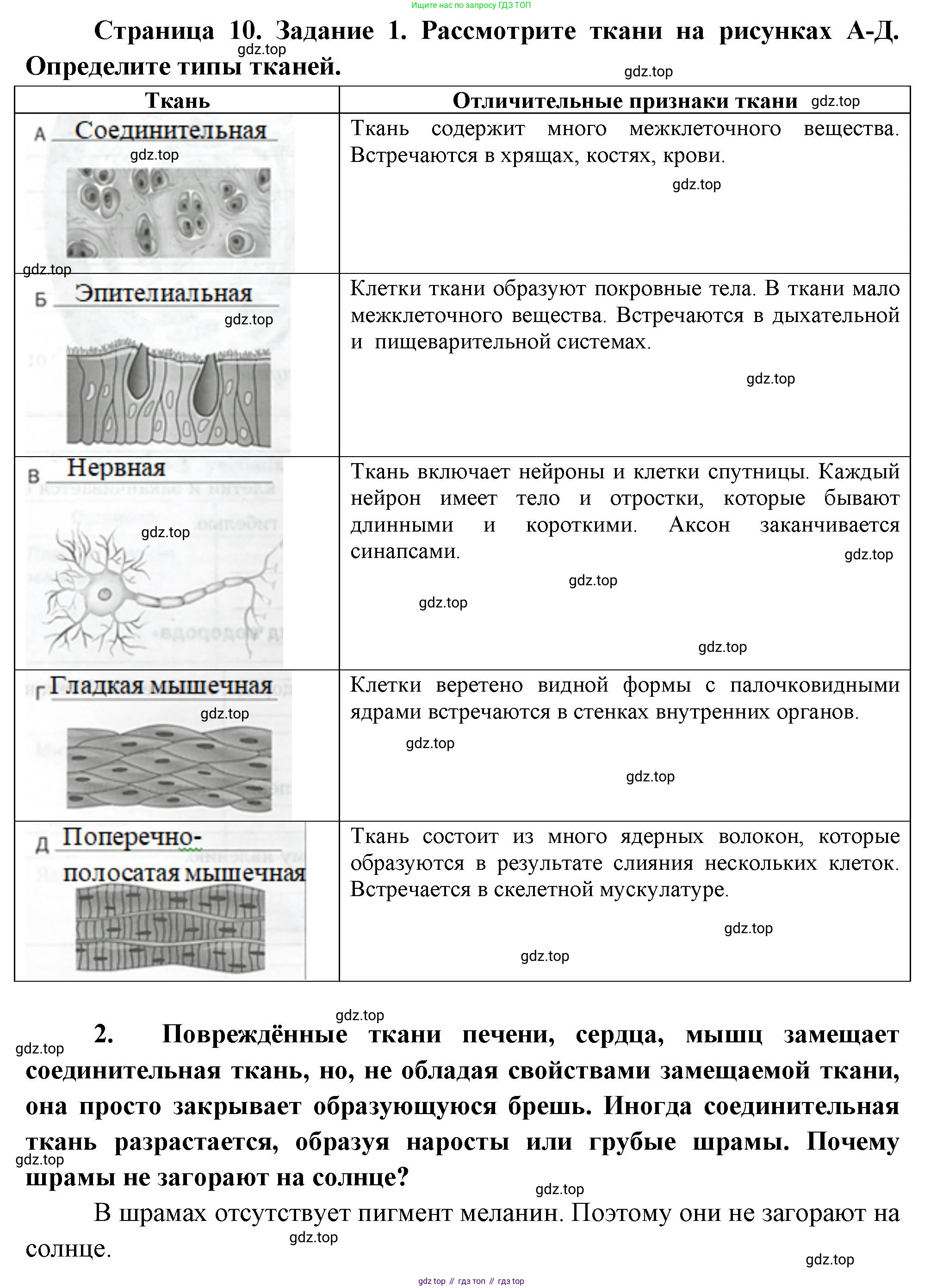 Биология, 9 класс рабочая тетрадь, авторы: Драгомилов Александр Григорьевич, Маш Реми Давидович, издательство Просвещение, Москва, 2021, красного цвета, Часть 1, страница 10, Решение