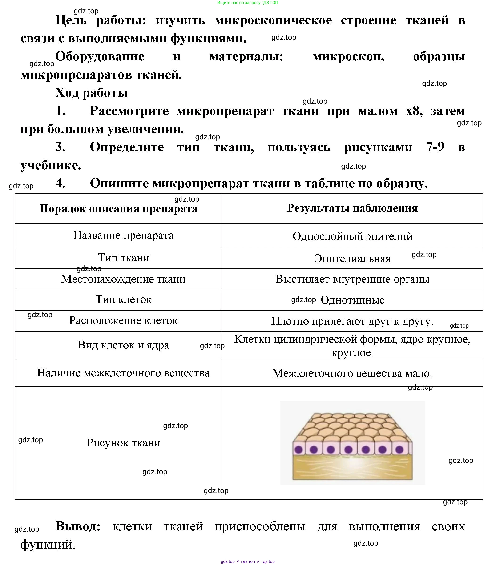 Биология, 9 класс рабочая тетрадь, авторы: Драгомилов Александр Григорьевич, Маш Реми Давидович, издательство Просвещение, Москва, 2021, красного цвета, Часть 1, страница 12, Решение (продолжение 2)
