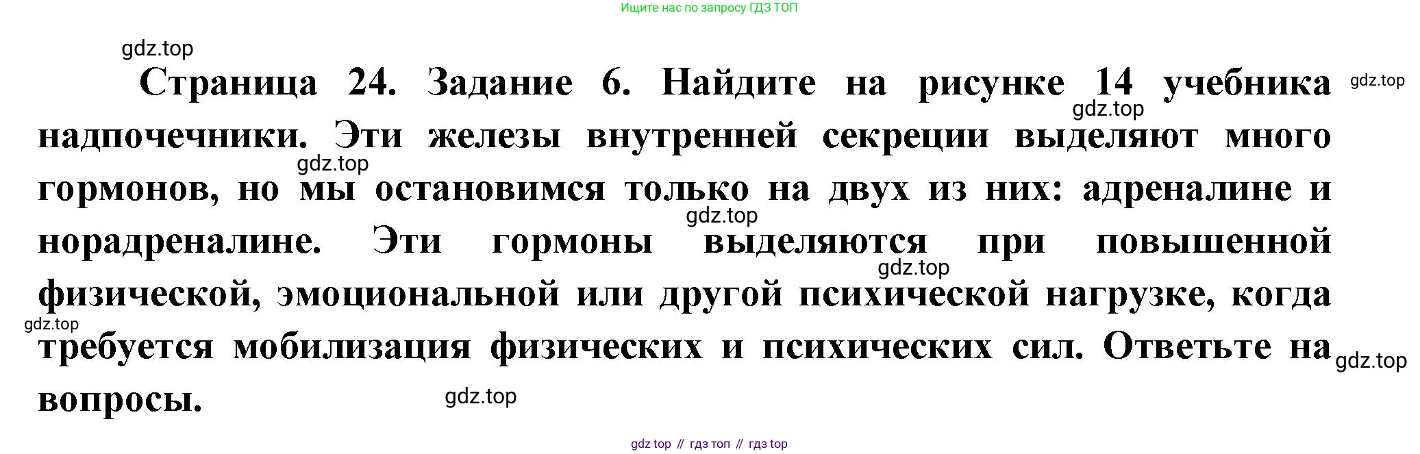 Биология, 9 класс рабочая тетрадь, авторы: Драгомилов Александр Григорьевич, Маш Реми Давидович, издательство Просвещение, Москва, 2021, красного цвета, Часть 1, страница 24, Решение