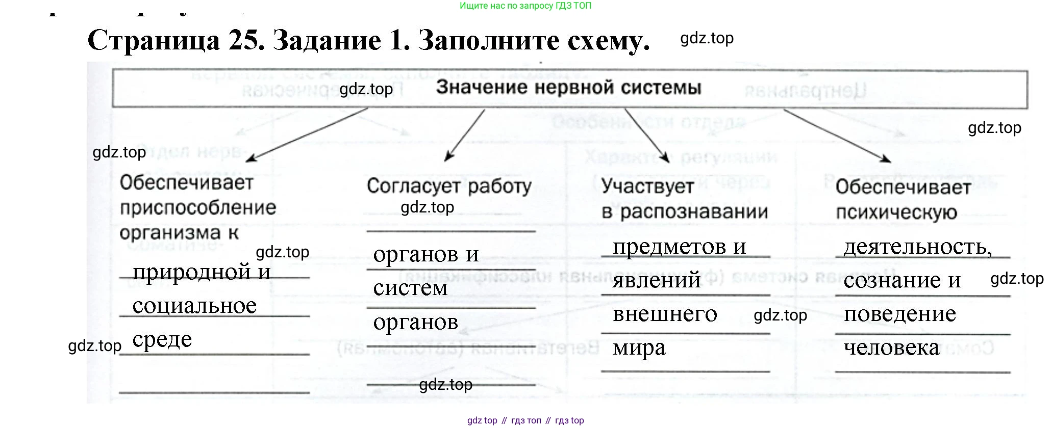 Биология, 9 класс рабочая тетрадь, авторы: Драгомилов Александр Григорьевич, Маш Реми Давидович, издательство Просвещение, Москва, 2021, красного цвета, Часть 1, страница 25, Решение