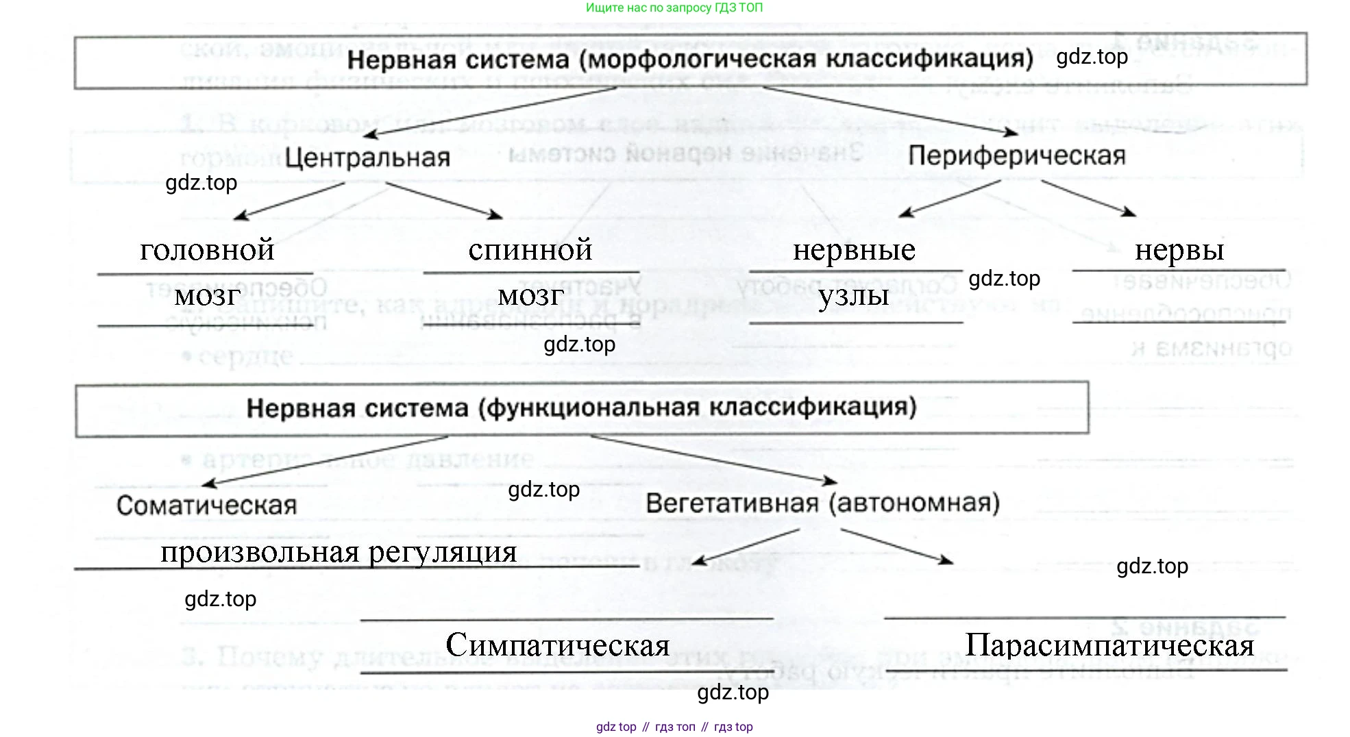 Биология, 9 класс рабочая тетрадь, авторы: Драгомилов Александр Григорьевич, Маш Реми Давидович, издательство Просвещение, Москва, 2021, красного цвета, Часть 1, страница 26, Решение (продолжение 2)