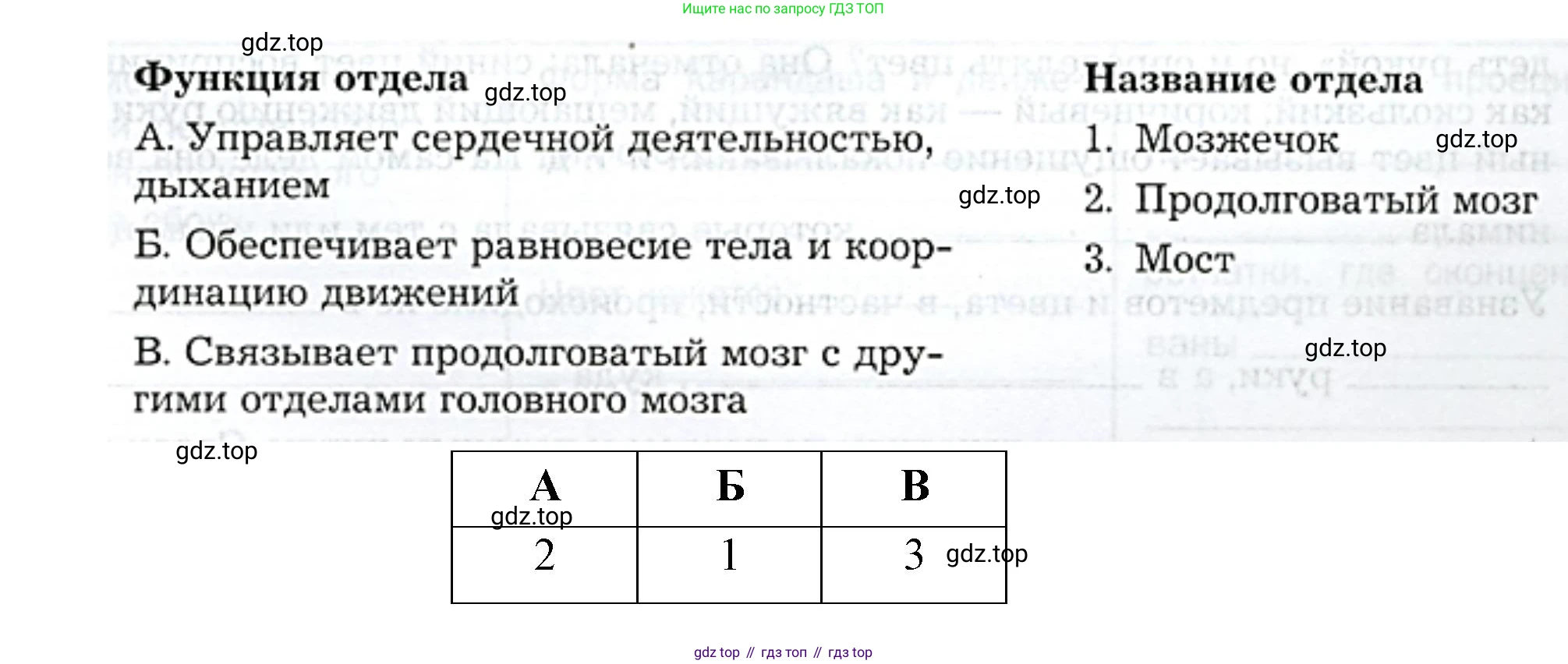 Биология, 9 класс рабочая тетрадь, авторы: Драгомилов Александр Григорьевич, Маш Реми Давидович, издательство Просвещение, Москва, 2021, красного цвета, Часть 1, страница 37, Решение (продолжение 2)