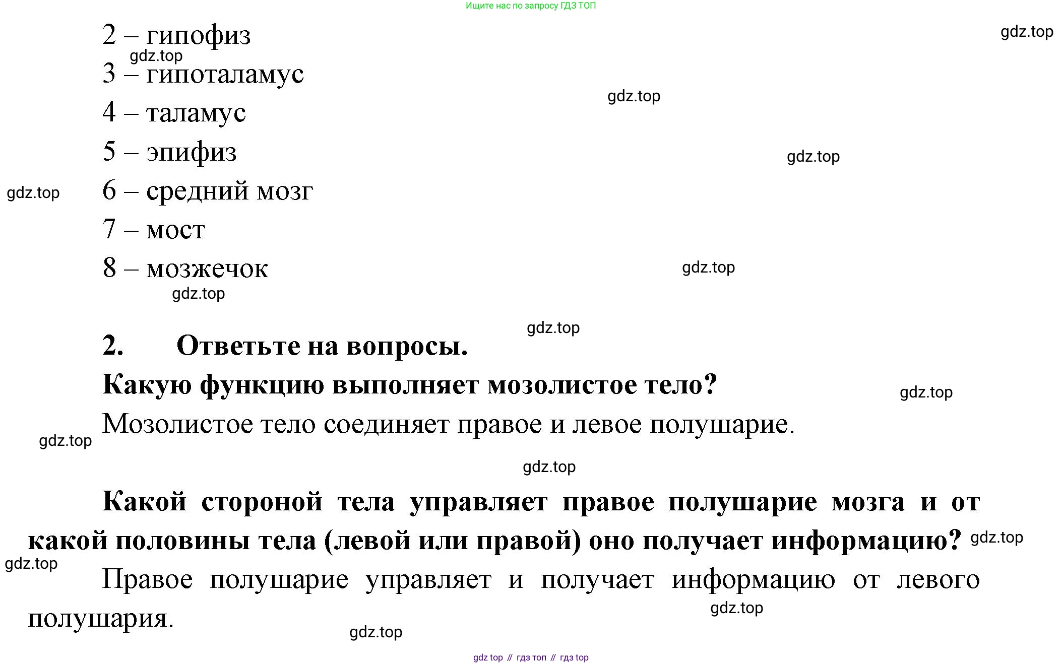 Биология, 9 класс рабочая тетрадь, авторы: Драгомилов Александр Григорьевич, Маш Реми Давидович, издательство Просвещение, Москва, 2021, красного цвета, Часть 1, страница 32, Решение (продолжение 2)