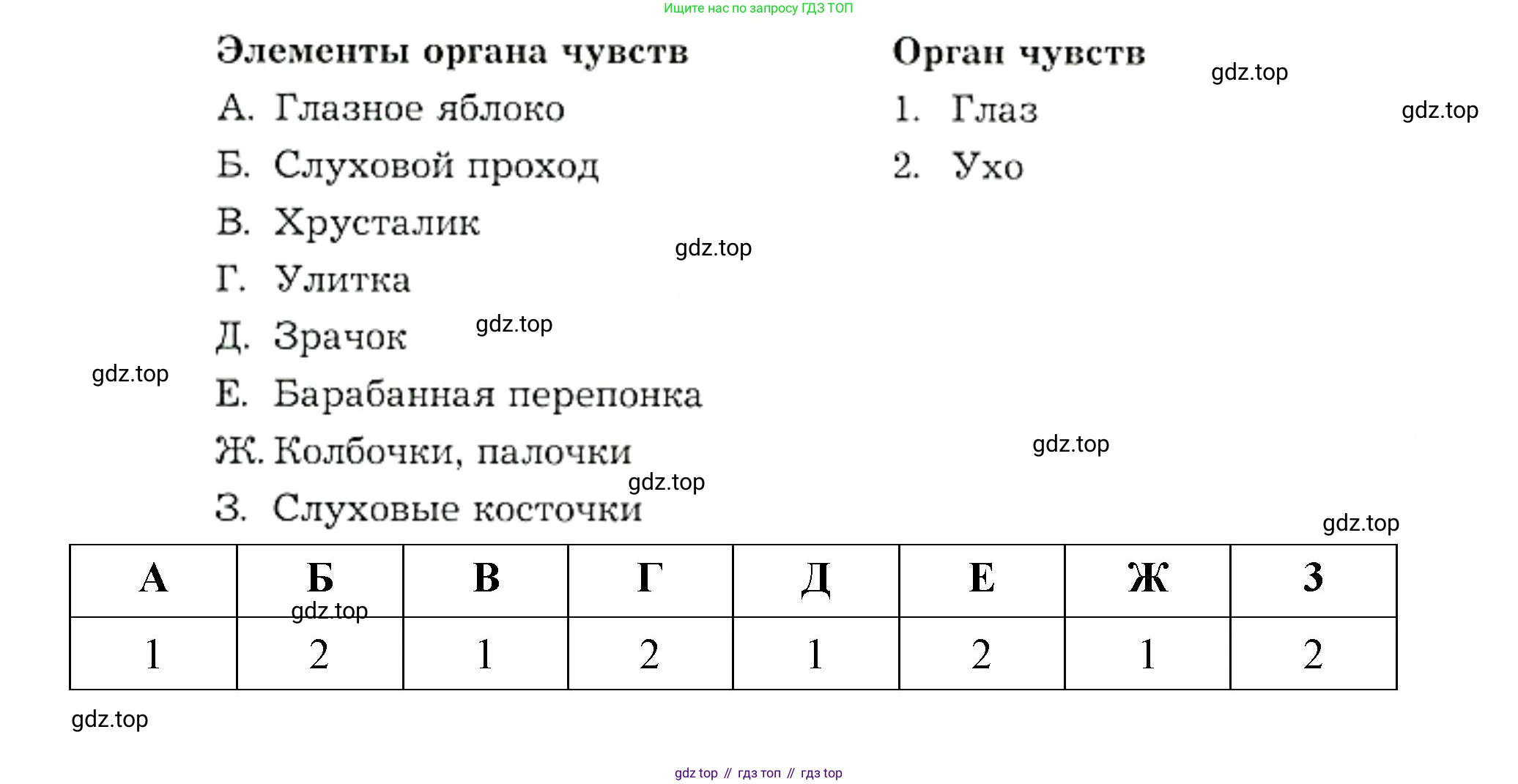 Биология, 9 класс рабочая тетрадь, авторы: Драгомилов Александр Григорьевич, Маш Реми Давидович, издательство Просвещение, Москва, 2021, красного цвета, Часть 1, страница 48, Решение (продолжение 2)