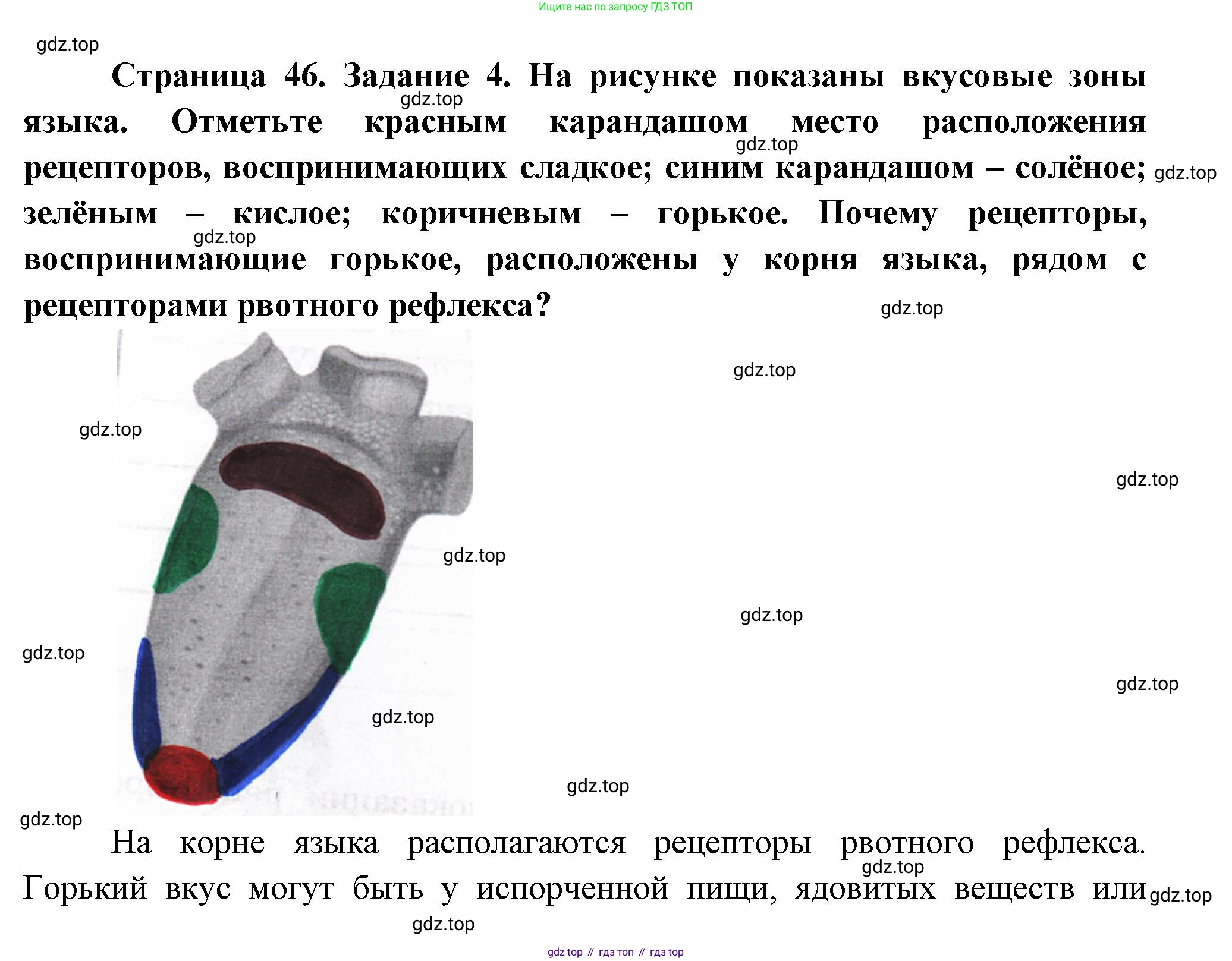 Биология, 9 класс рабочая тетрадь, авторы: Драгомилов Александр Григорьевич, Маш Реми Давидович, издательство Просвещение, Москва, 2021, красного цвета, Часть 1, страница 46, Решение