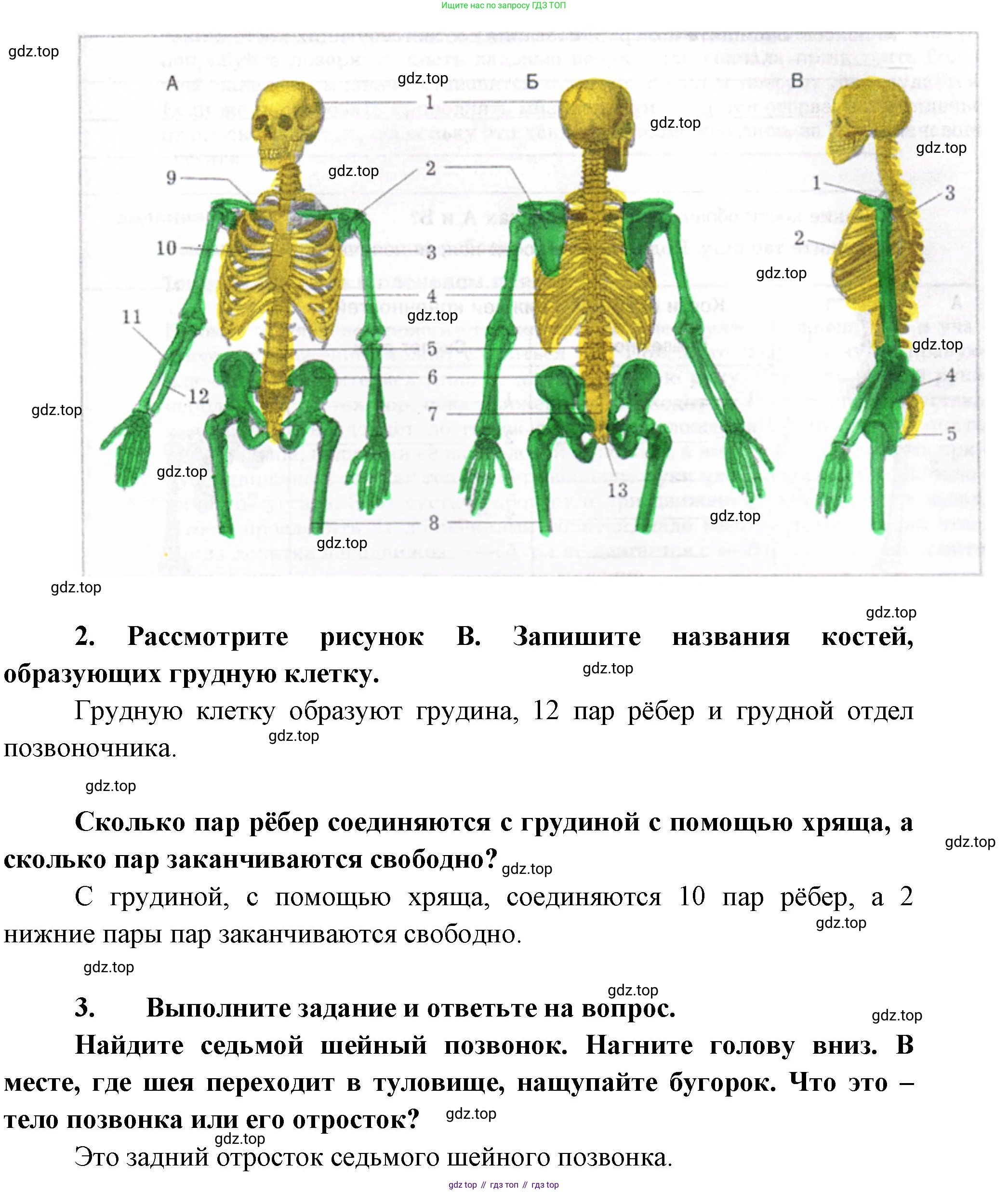 Биология, 9 класс рабочая тетрадь, авторы: Драгомилов Александр Григорьевич, Маш Реми Давидович, издательство Просвещение, Москва, 2021, красного цвета, Часть 1, страница 57, Решение (продолжение 2)