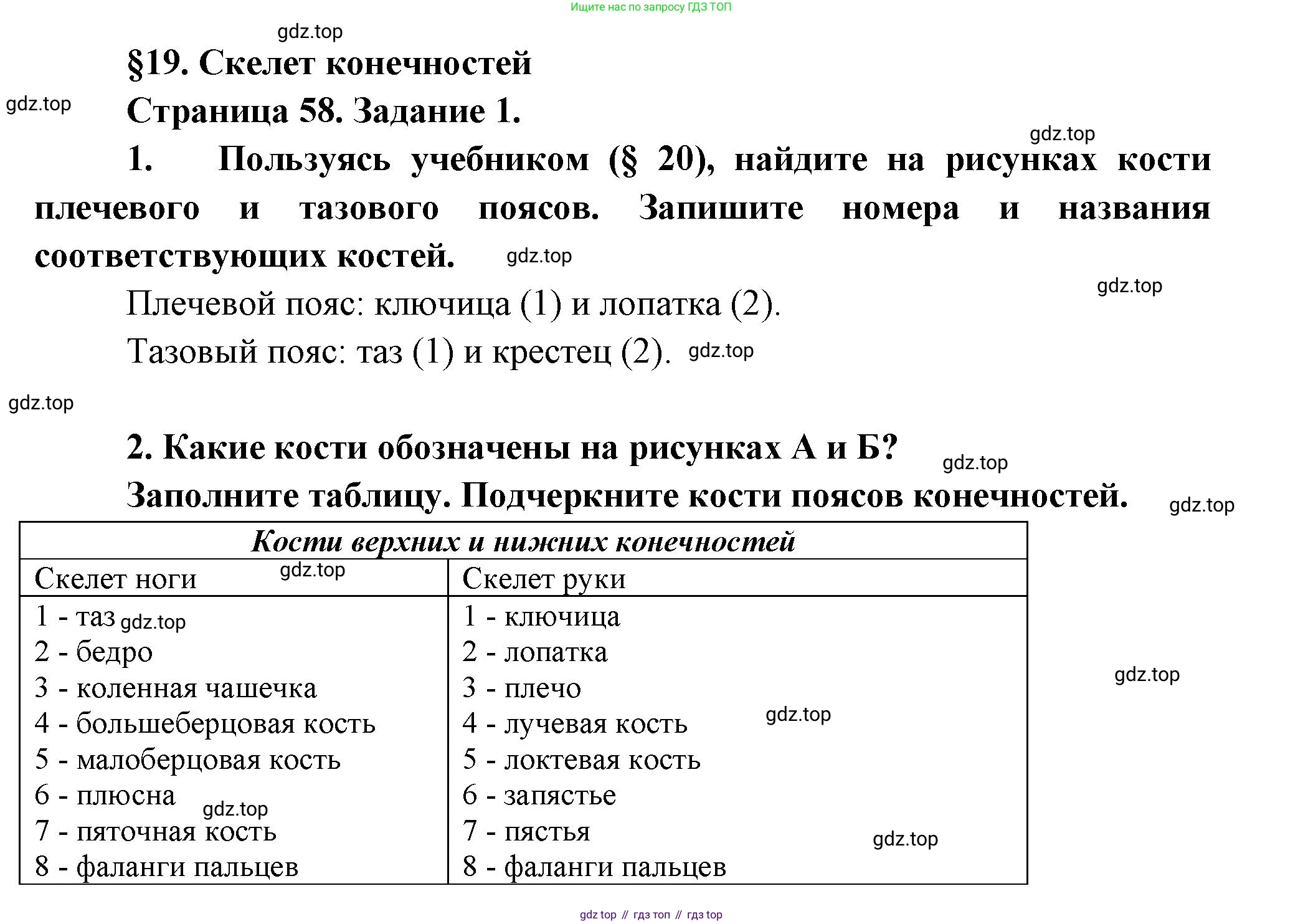 Биология, 9 класс рабочая тетрадь, авторы: Драгомилов Александр Григорьевич, Маш Реми Давидович, издательство Просвещение, Москва, 2021, красного цвета, Часть 1, страница 58, Решение