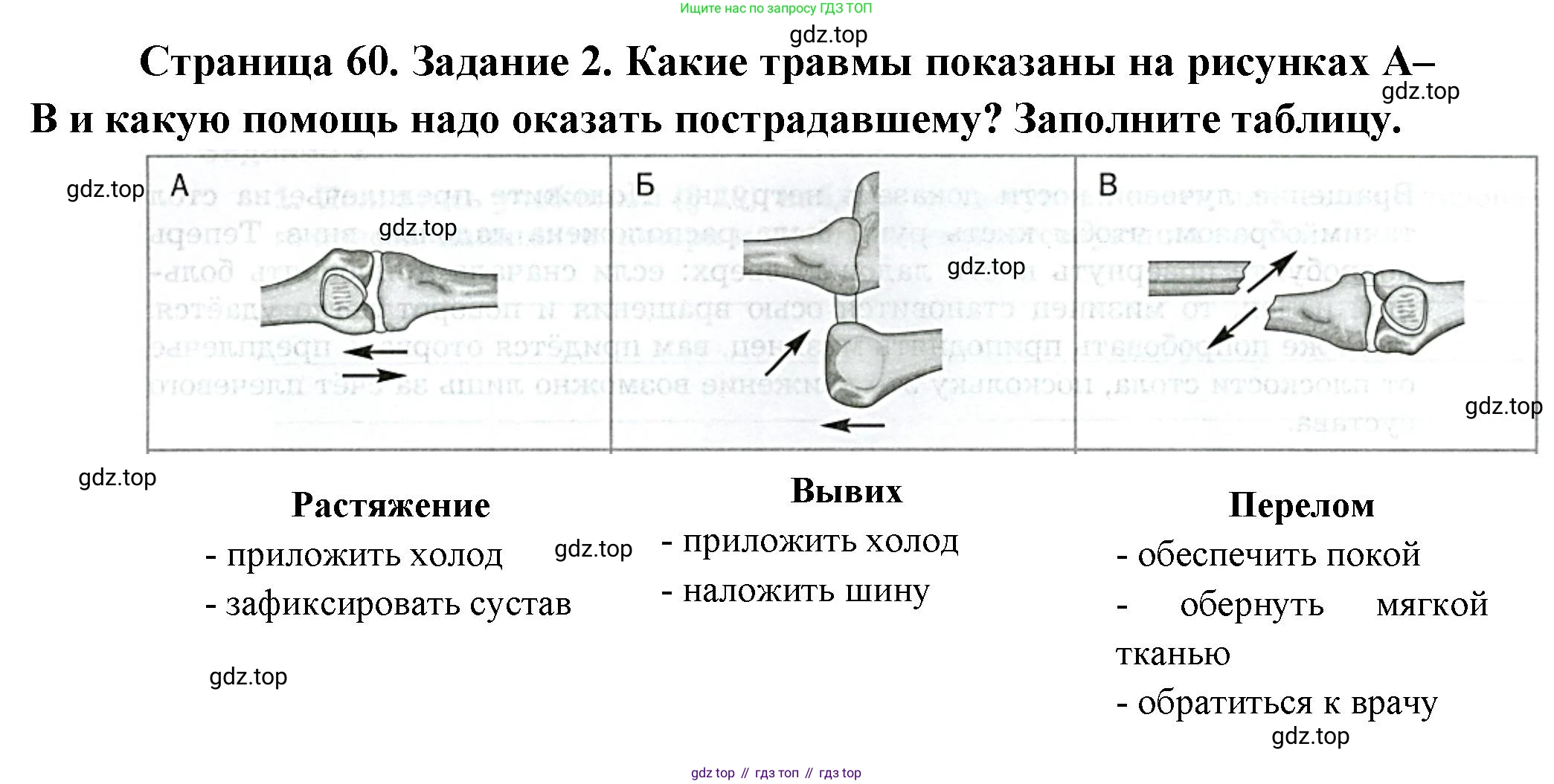 Биология, 9 класс рабочая тетрадь, авторы: Драгомилов Александр Григорьевич, Маш Реми Давидович, издательство Просвещение, Москва, 2021, красного цвета, Часть 1, страница 60, Решение