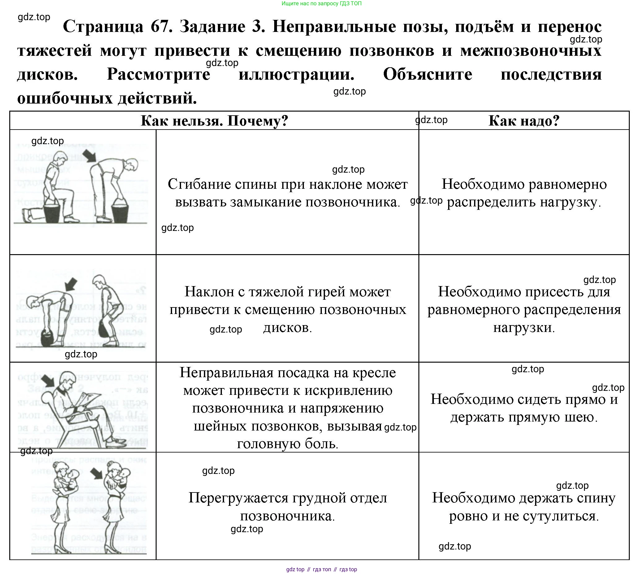 Биология, 9 класс рабочая тетрадь, авторы: Драгомилов Александр Григорьевич, Маш Реми Давидович, издательство Просвещение, Москва, 2021, красного цвета, Часть 1, страница 67, Решение