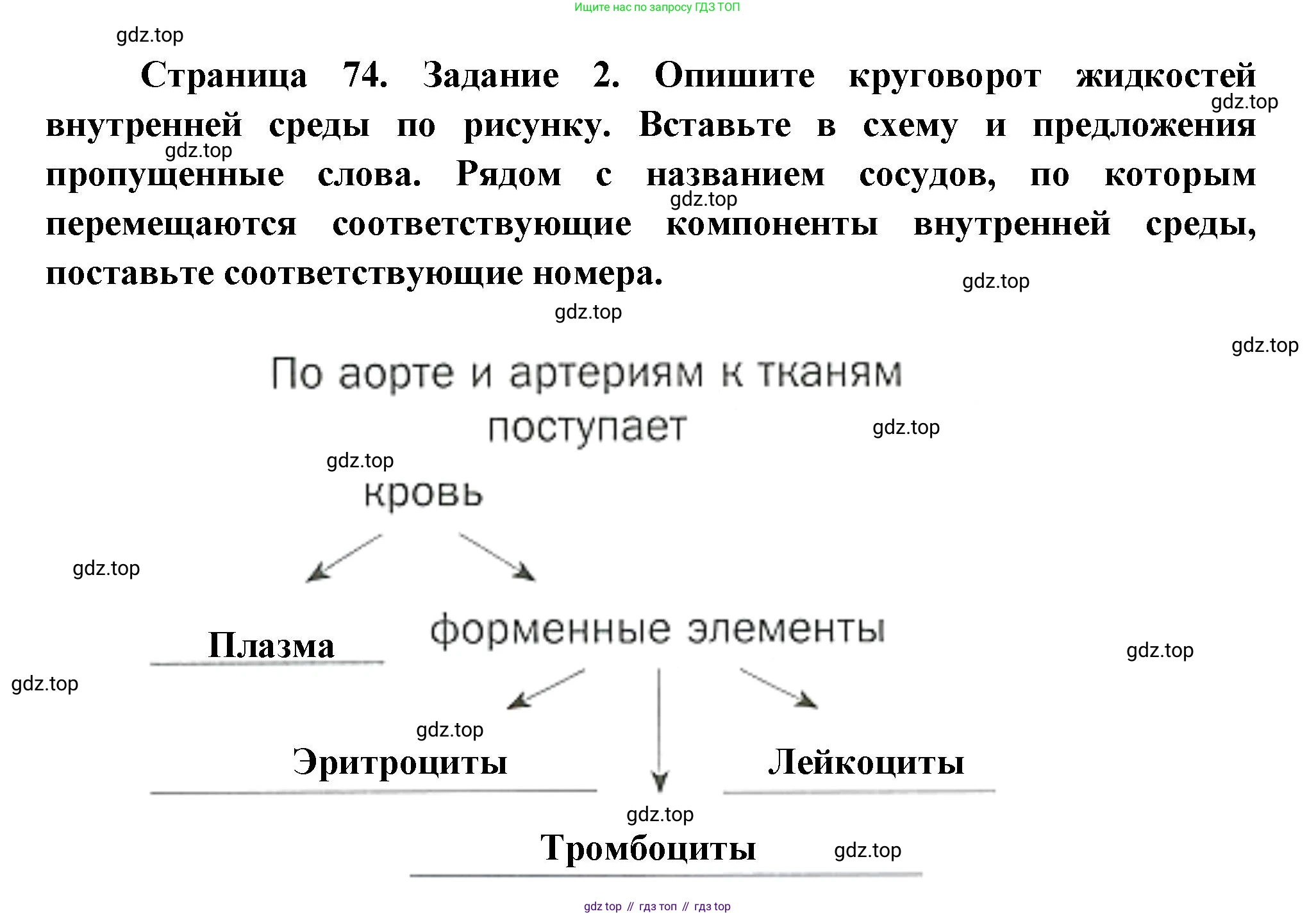 Биология, 9 класс рабочая тетрадь, авторы: Драгомилов Александр Григорьевич, Маш Реми Давидович, издательство Просвещение, Москва, 2021, красного цвета, Часть 1, страница 74, Решение
