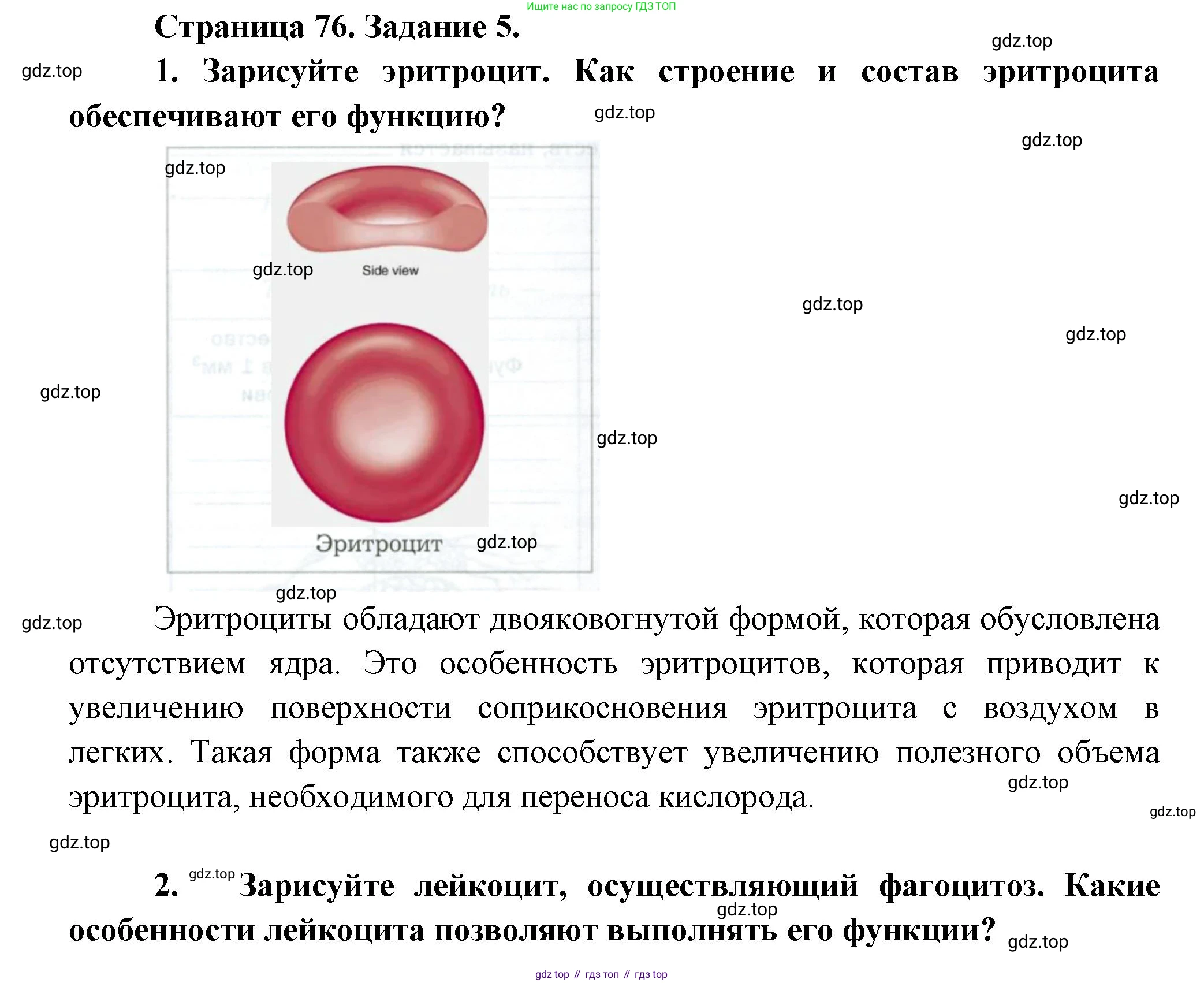 Биология, 9 класс рабочая тетрадь, авторы: Драгомилов Александр Григорьевич, Маш Реми Давидович, издательство Просвещение, Москва, 2021, красного цвета, Часть 1, страница 76, Решение