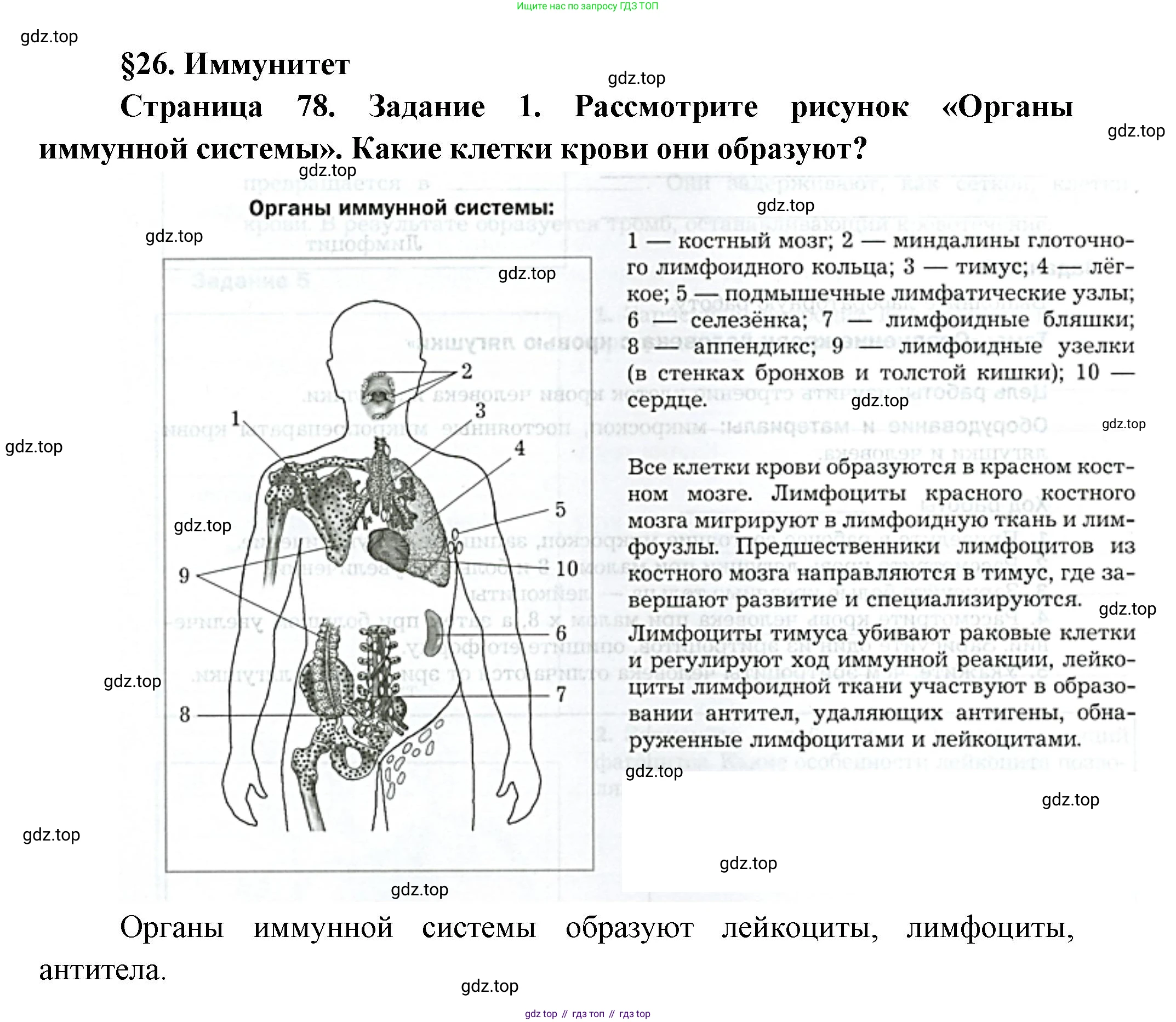 Биология, 9 класс рабочая тетрадь, авторы: Драгомилов Александр Григорьевич, Маш Реми Давидович, издательство Просвещение, Москва, 2021, красного цвета, Часть 1, страница 78, Решение